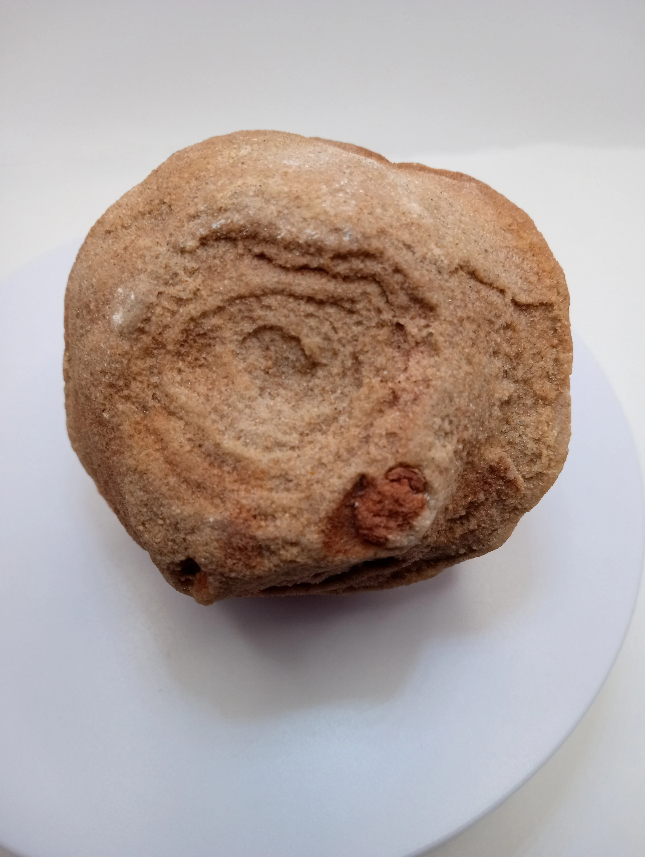 Stromatolites are the layered trace fossils of microbial life, primarily cyanobacteria.