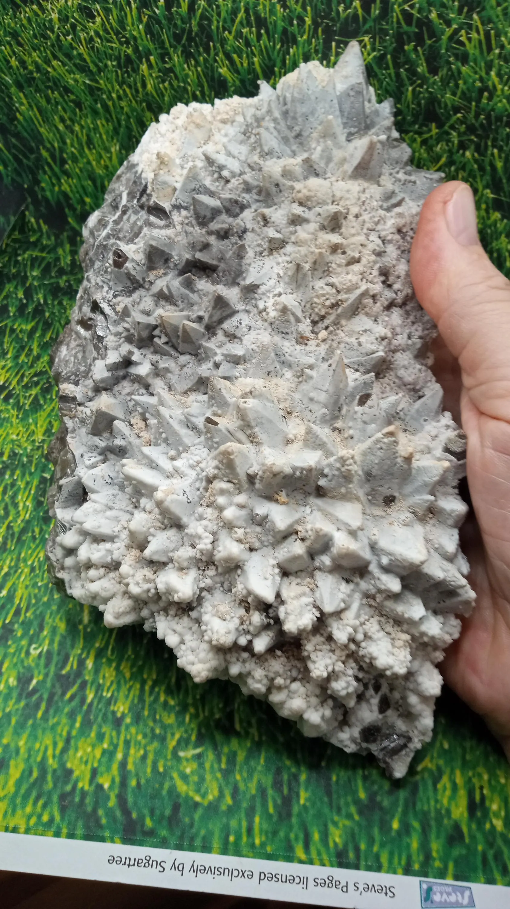 Dogtooth Calcite with Halite Mineral Specimen -