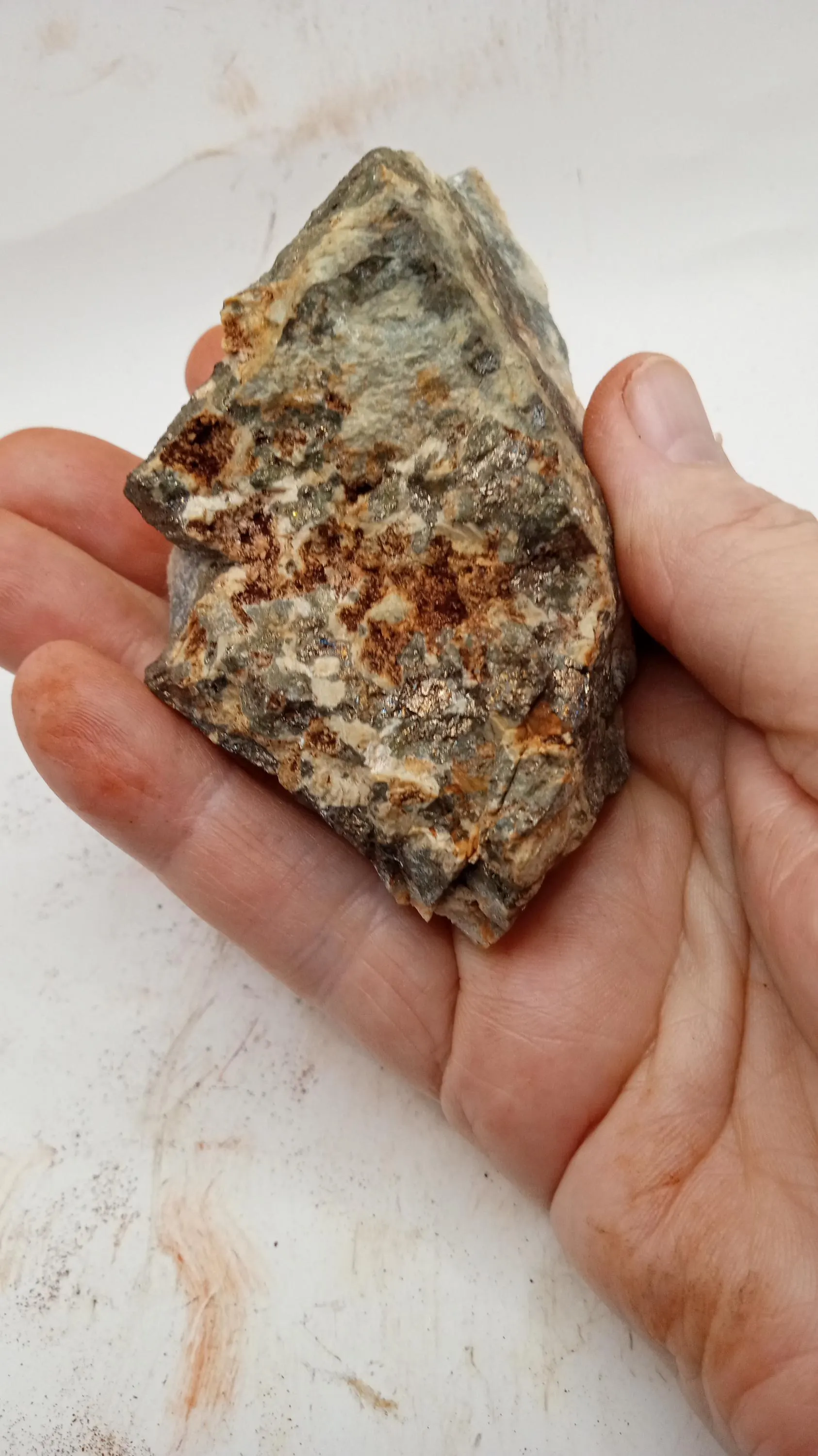 Quartz w/ Gold Pyrite Inclusions Mineral Specimen - New Mexico 