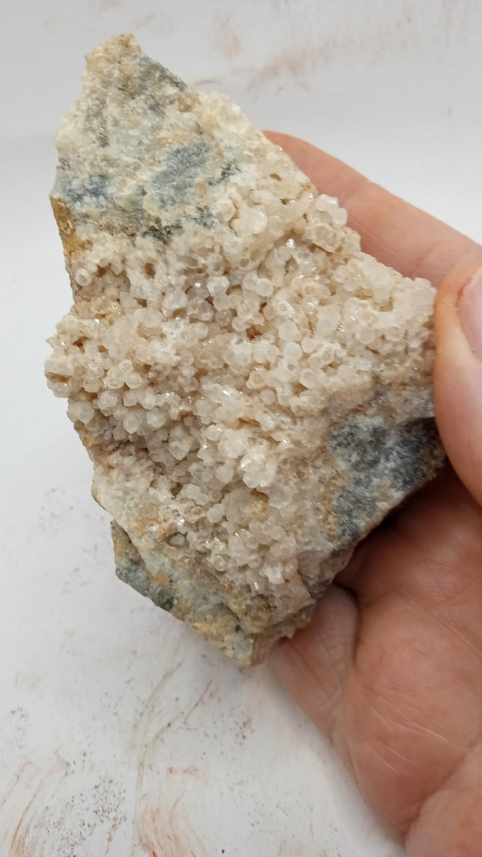 Quartz w/ Gold Pyrite Inclusions Mineral Specimen - New Mexico 