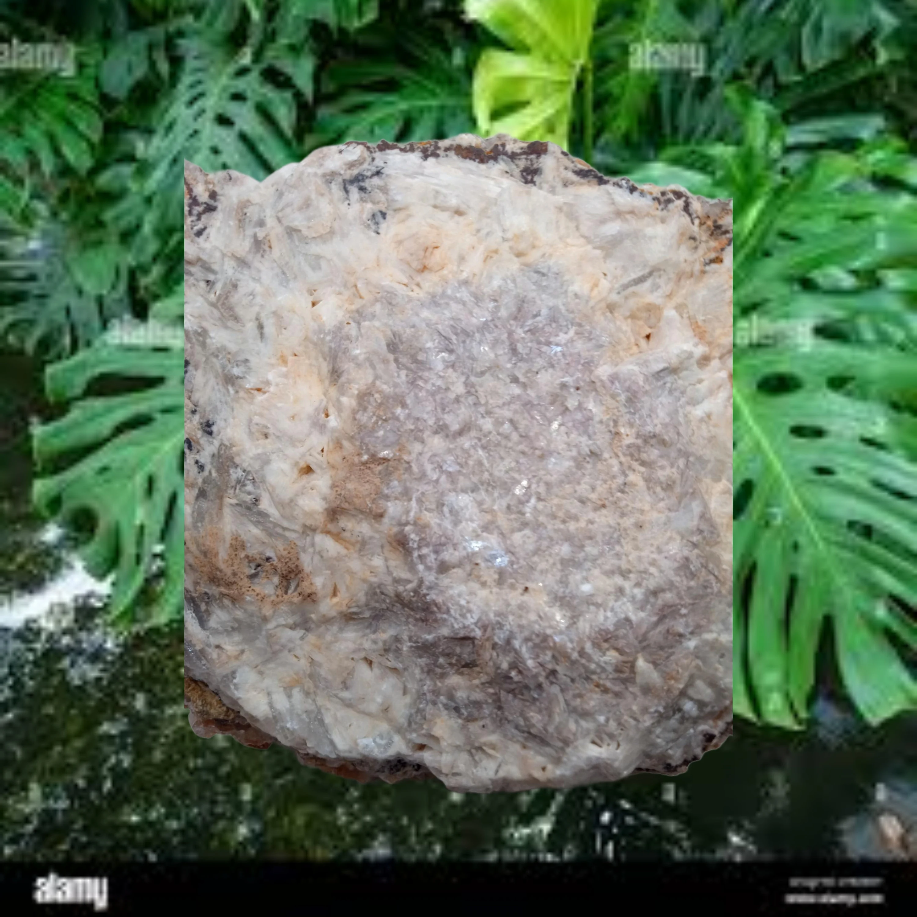 Dogtooth Calcite is a stunning mineral specimen - Large ~
