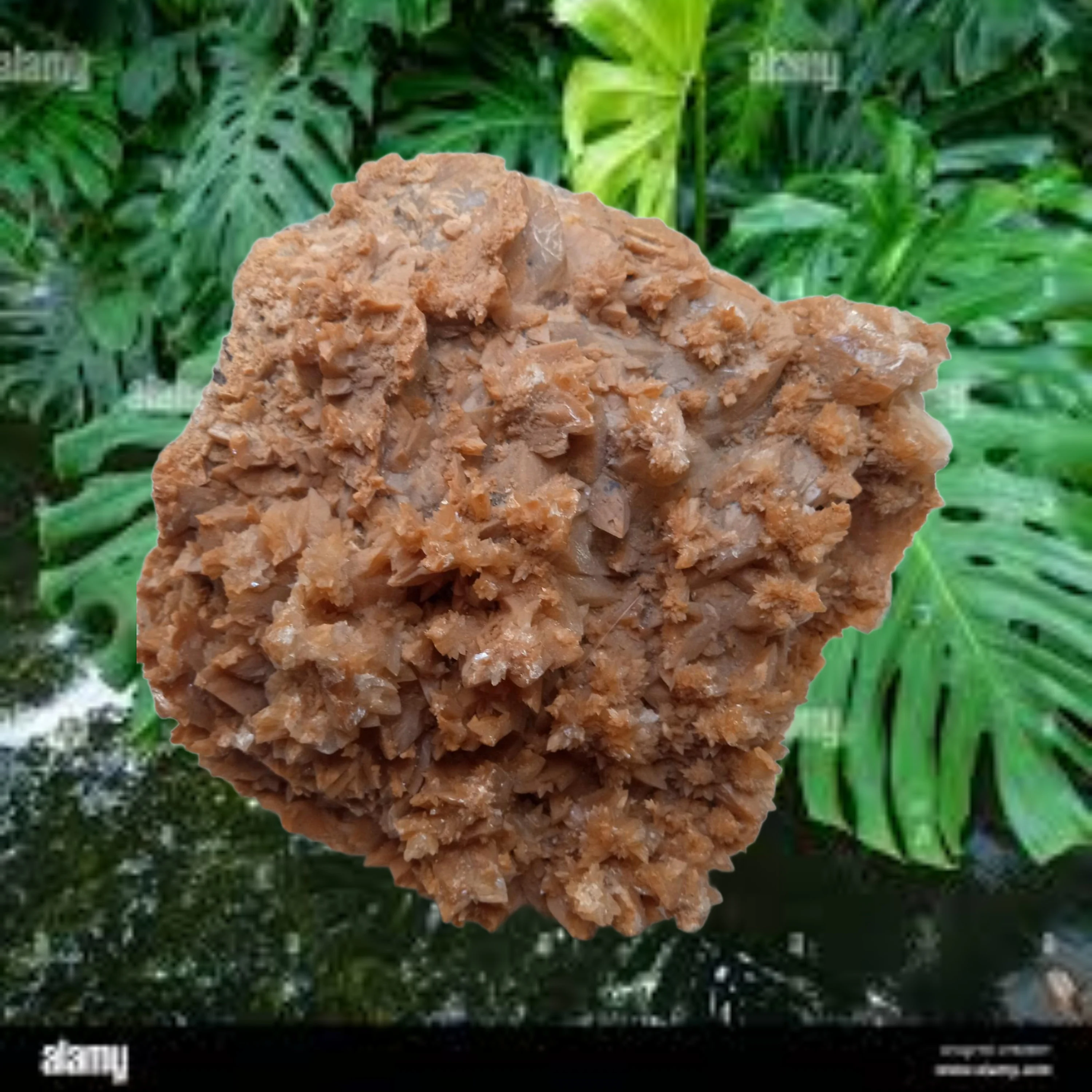 Dogtooth Calcite is a stunning mineral specimen - Large ~