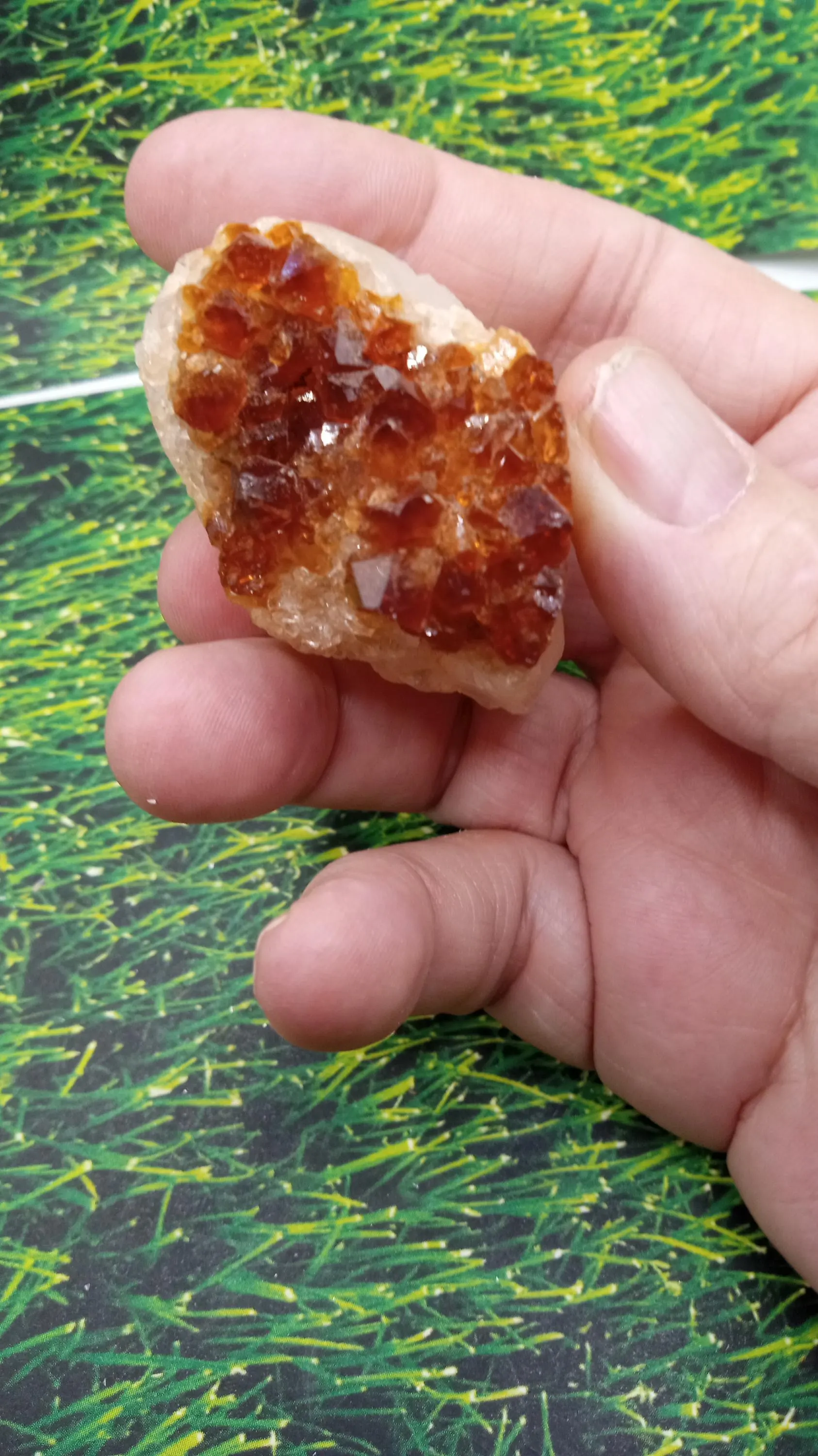 Citrine and Quartz Specimen with Beautiful Crystals