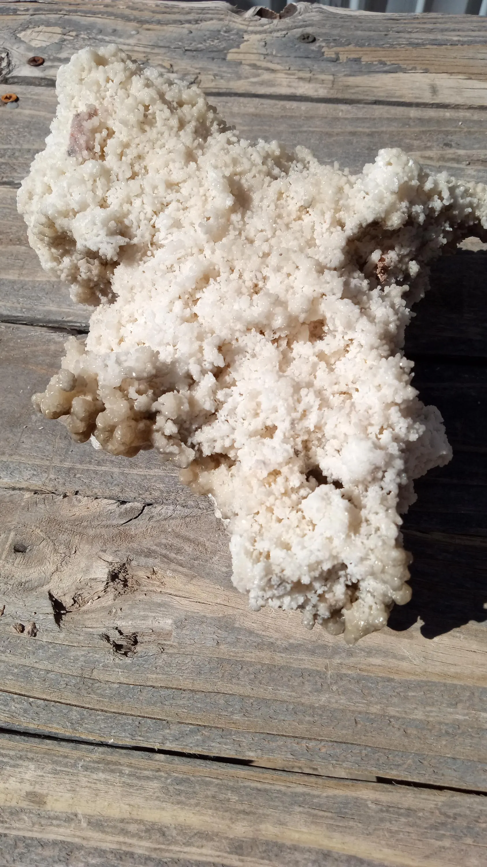 White Aragonite Mineral Specimen ~ Large ~