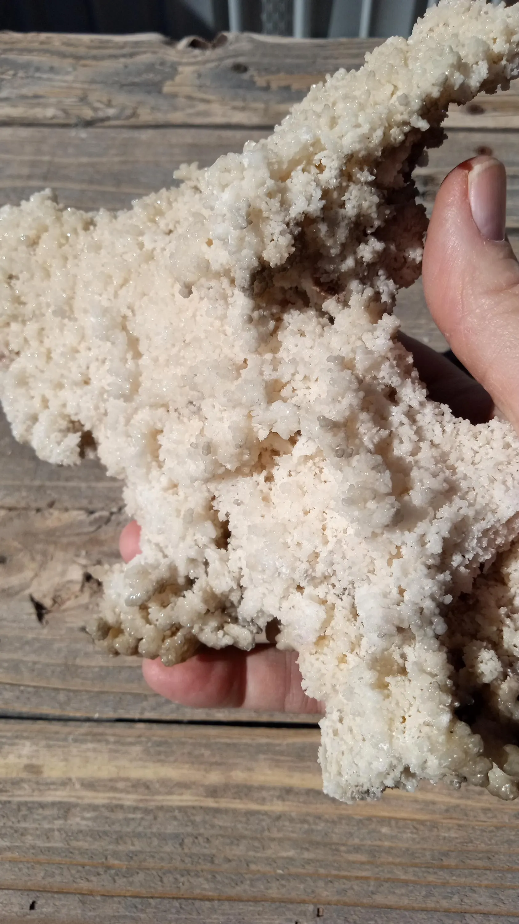 White Aragonite Mineral Specimen ~ Large ~