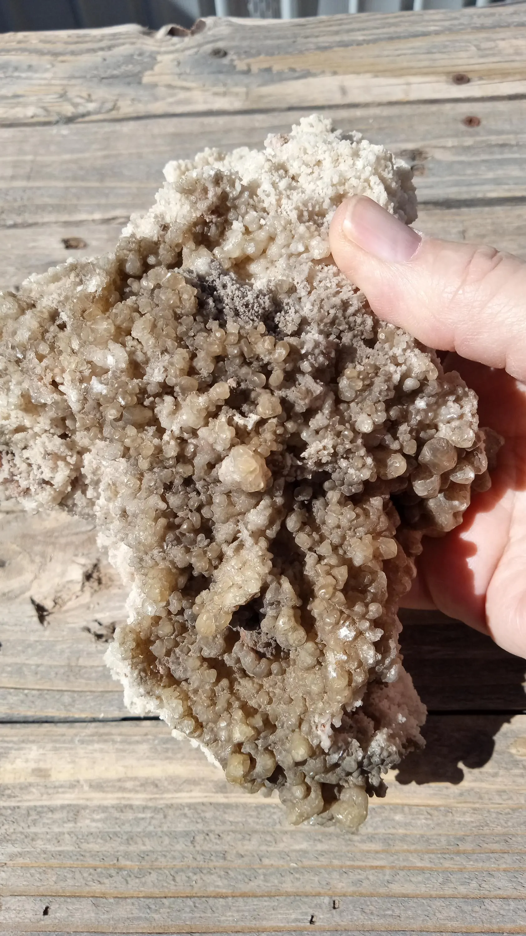 White Aragonite Mineral Specimen ~ Large ~