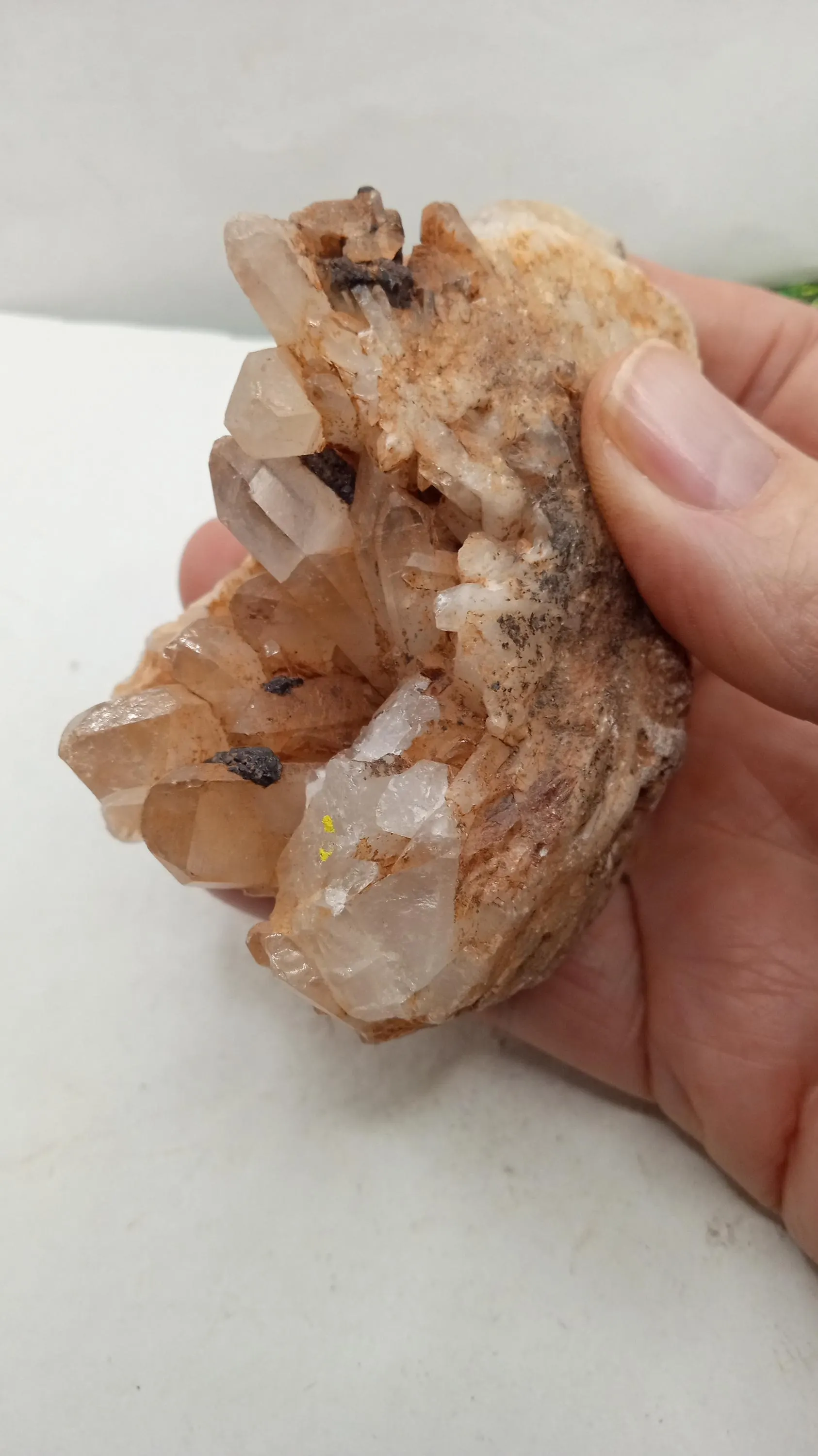 Quartz  Red & Clear  ( 2 ) Included - Mineral Specimens