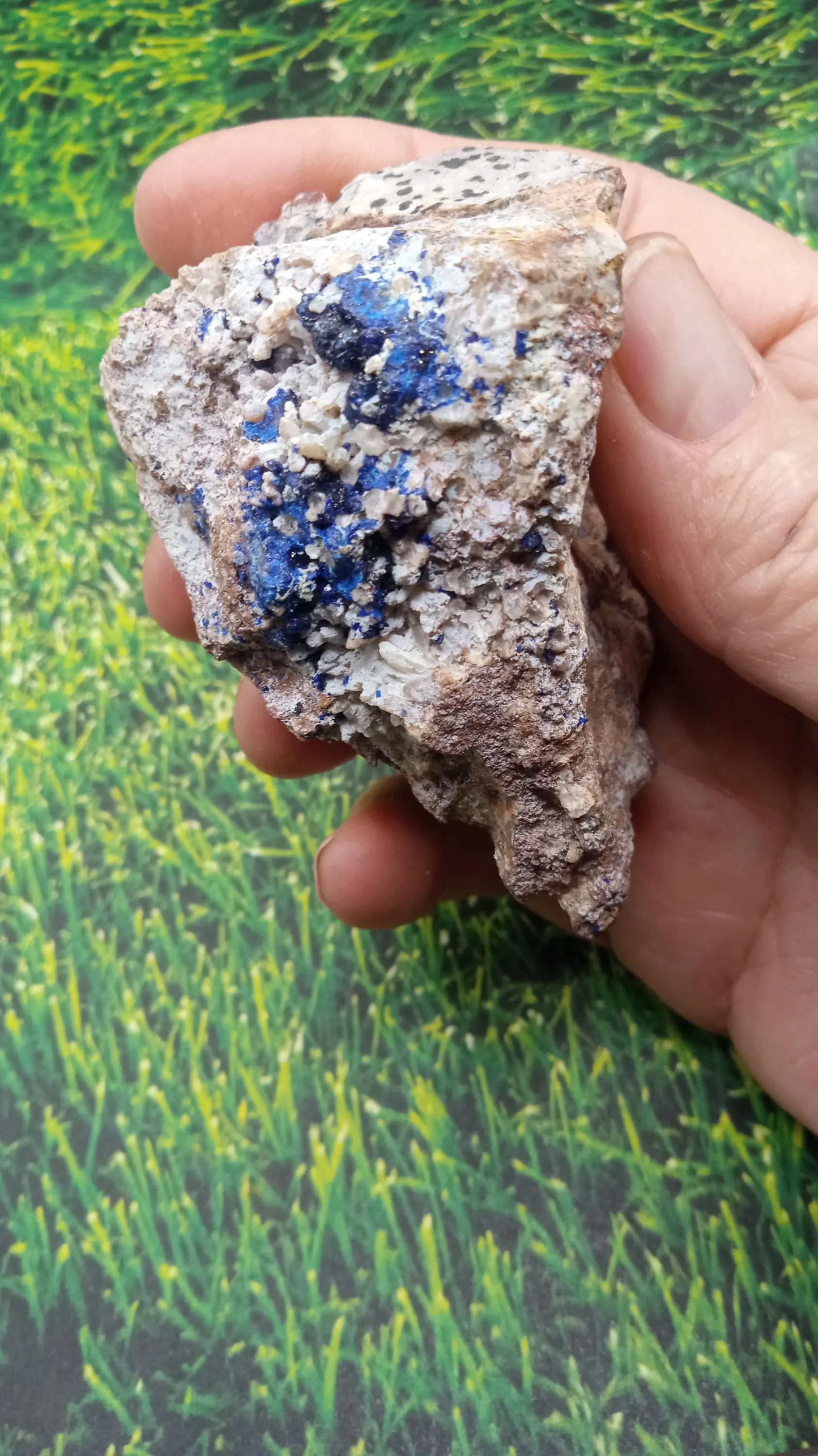 Blue Azurite w/ Halite Mineral Specimen - New Mexico