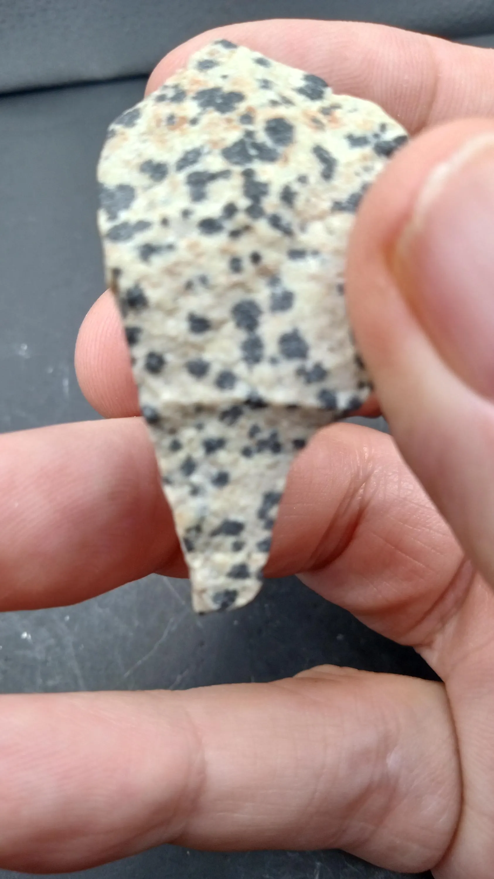 Dalmatian Jasper Oz Natural Root Chakra Metaphysical Healing Stone