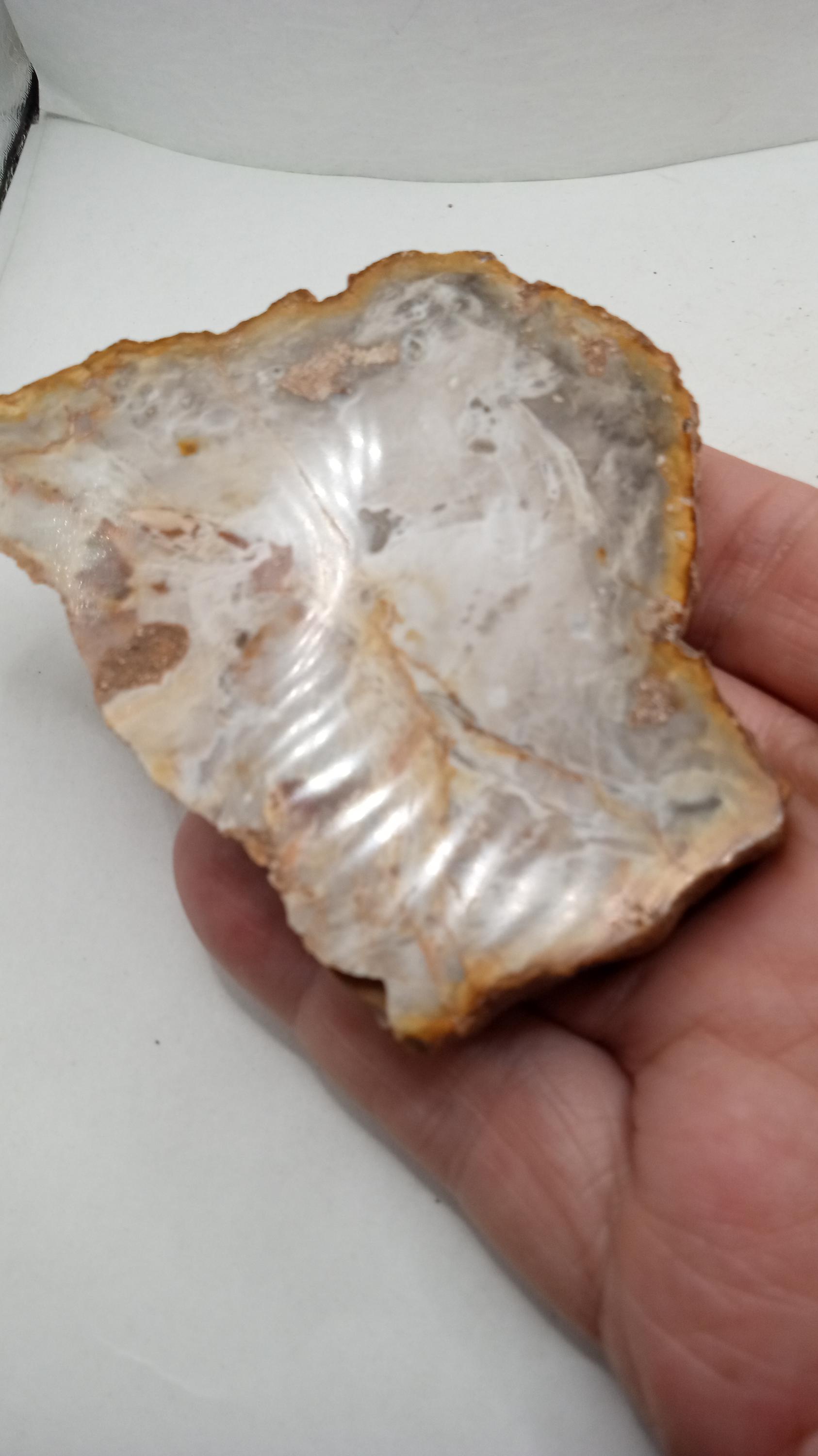 Agate - includes ( 2 ) 1/2 thick in size Super Smooth Pieces