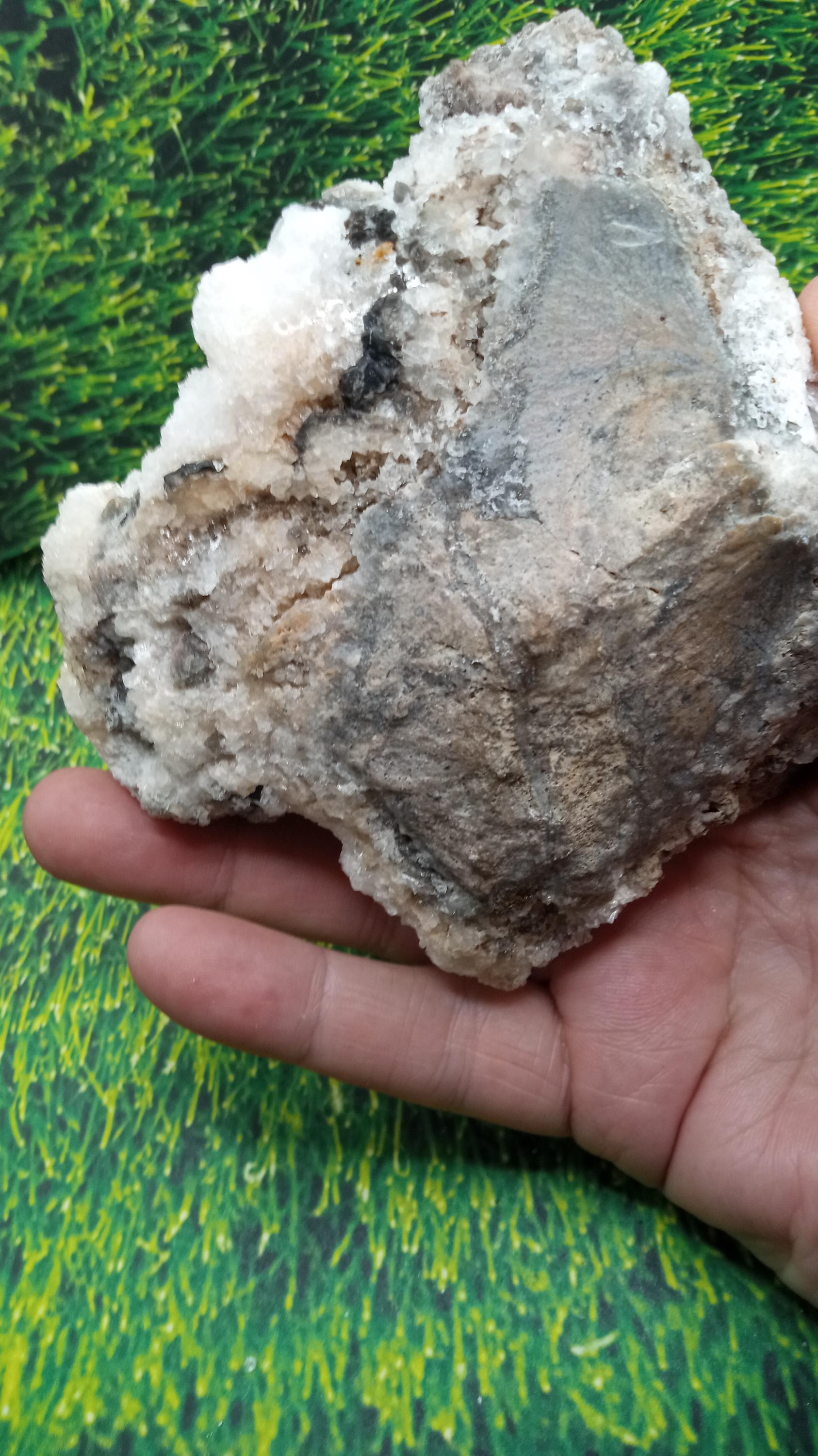 Colemanite Mineral Specimen 