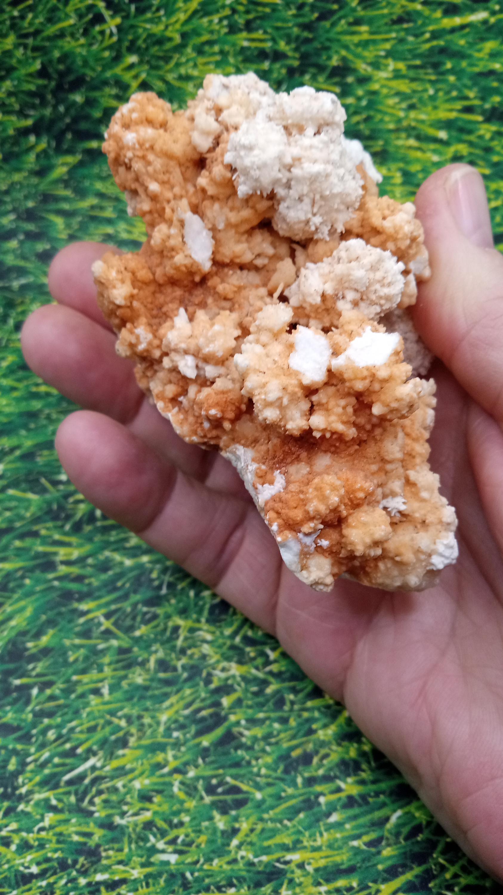 Aragonite w/ White Quartz Crystal Mineral Specimen -