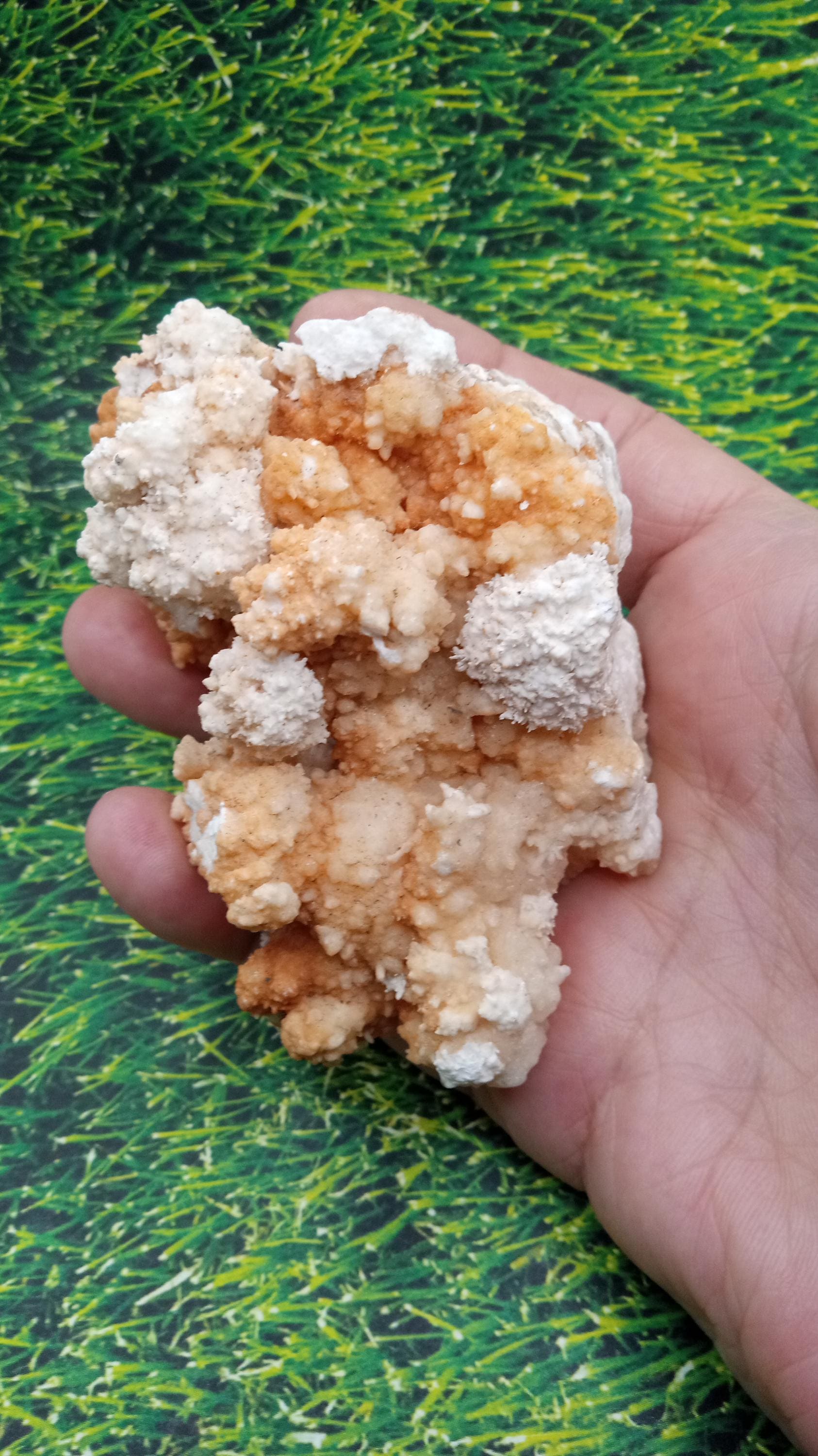 Aragonite w/ White Quartz Crystal  Mineral Specimen -