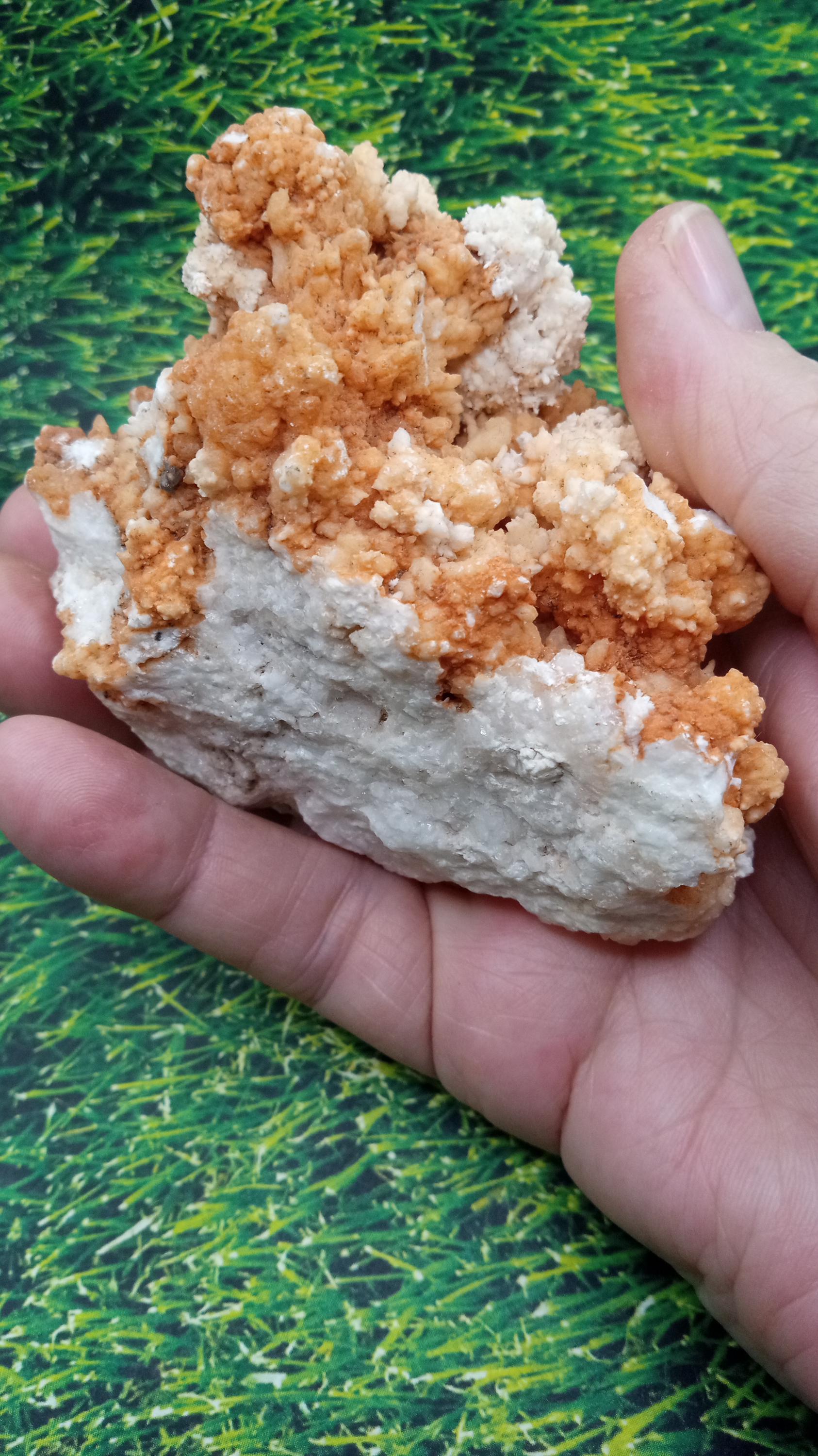 Aragonite w/ White Quartz Crystal  Mineral Specimen -