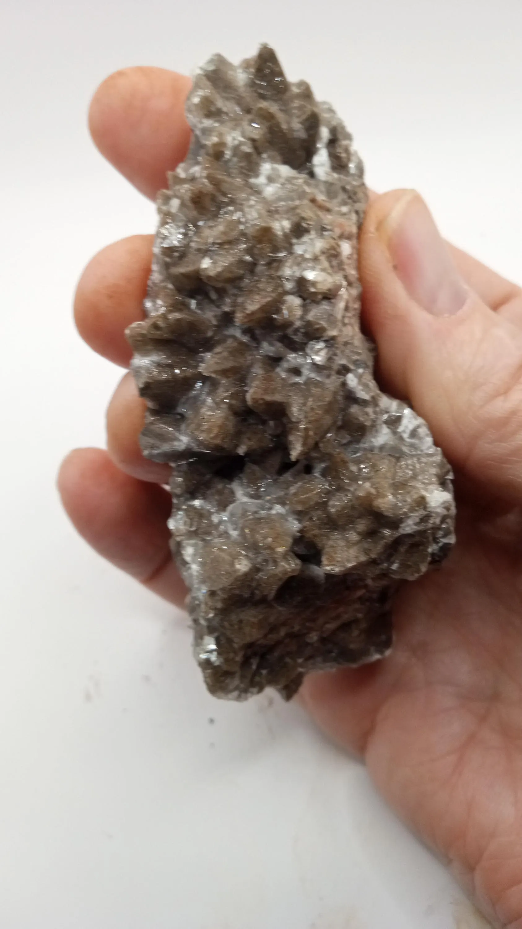 Dogtooth Calcite Mineral Specimen