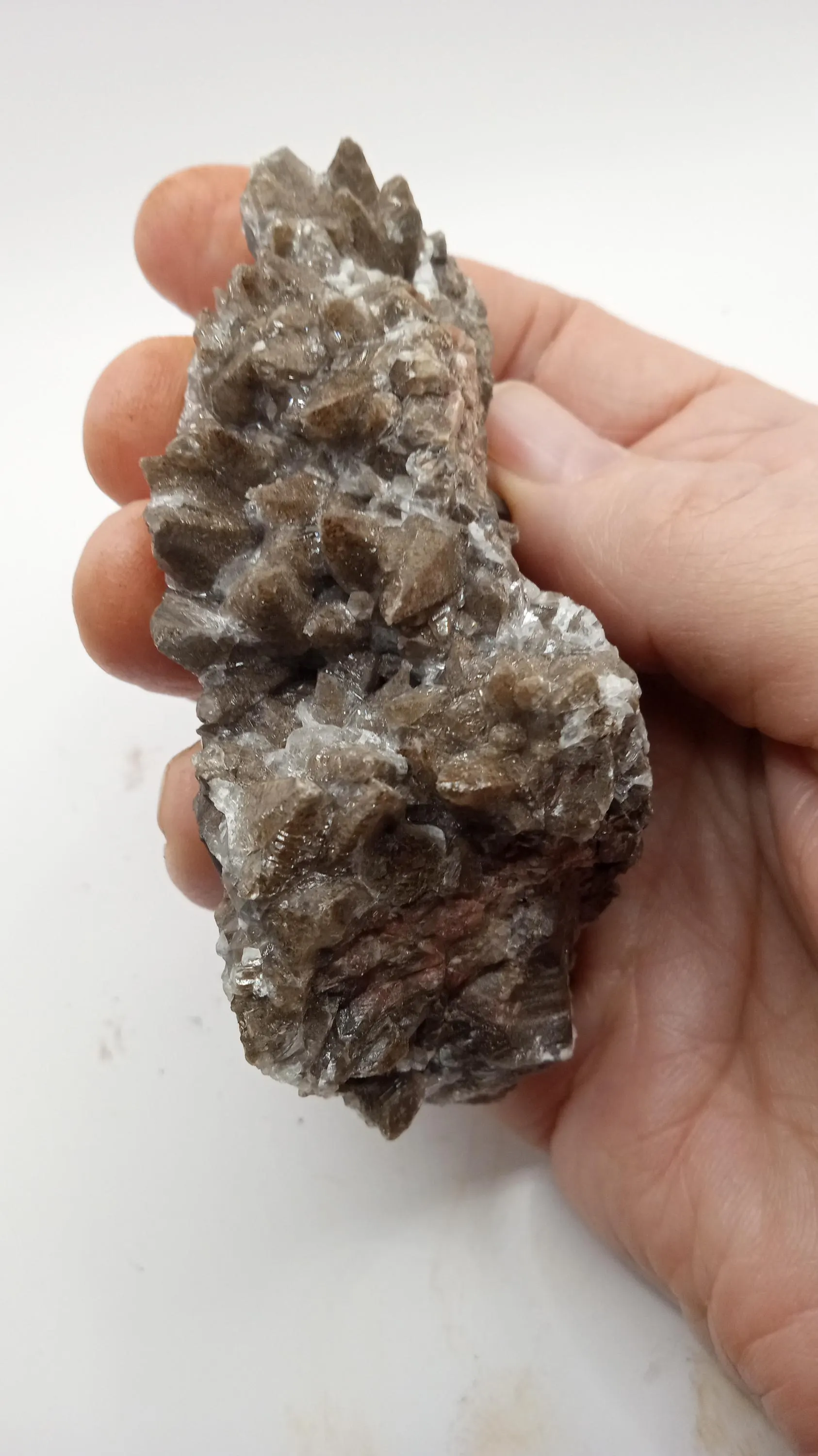 Dogtooth Calcite Mineral Specimen