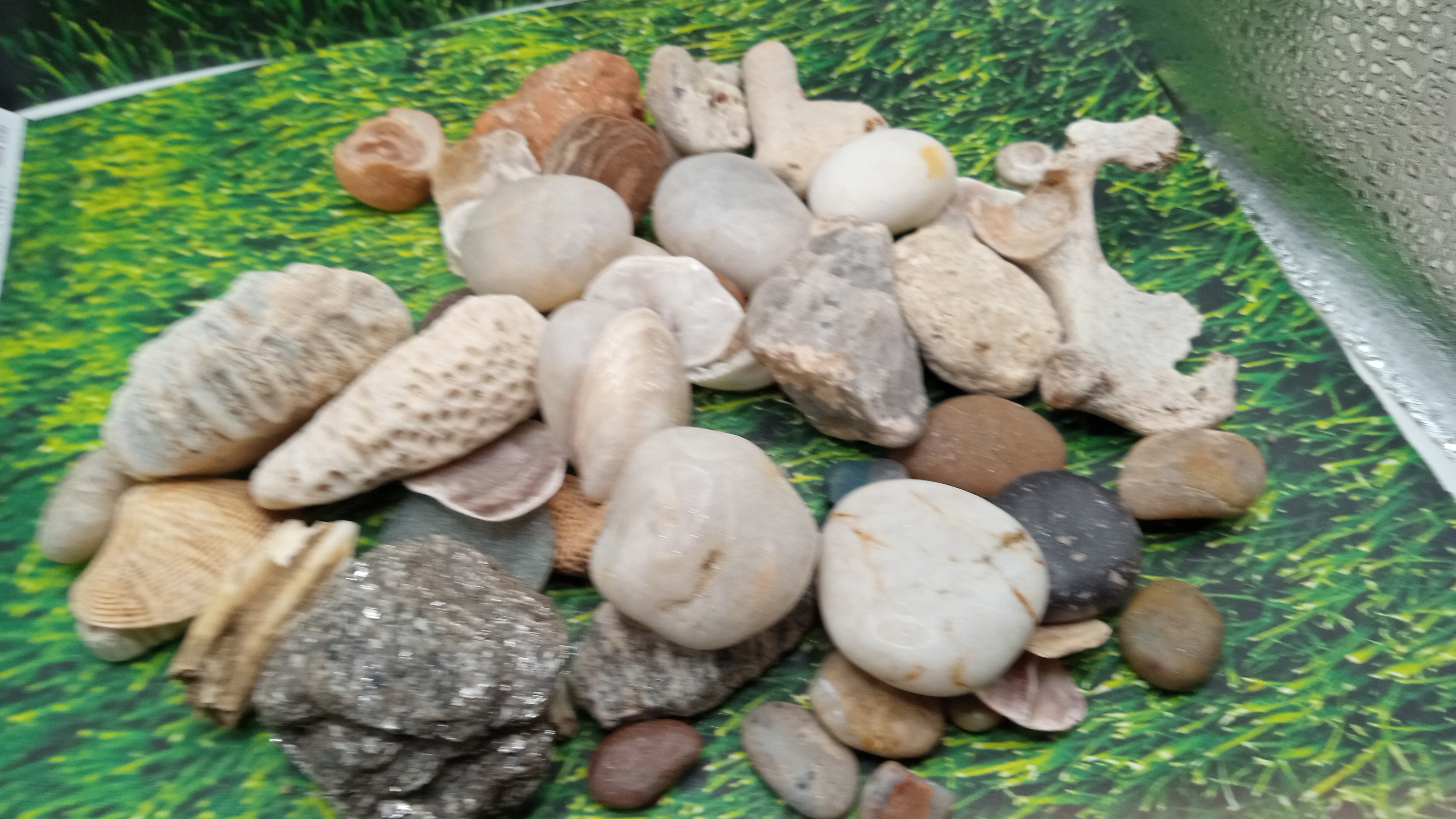 Bag of Misc Rocks - from New Mexico & Florida Keys