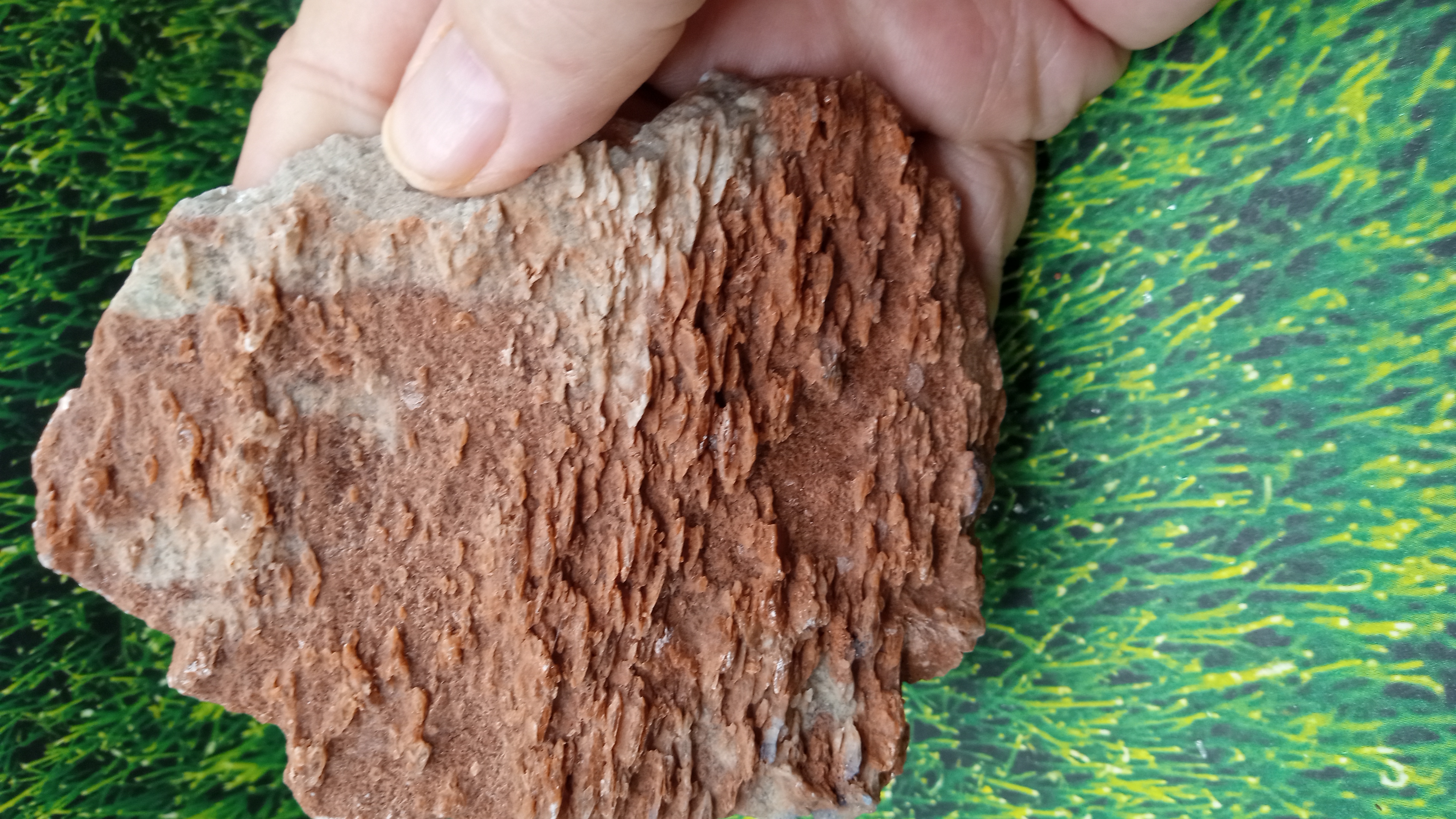 Red Barite Mineral Specimen ~ Arizona ~ 