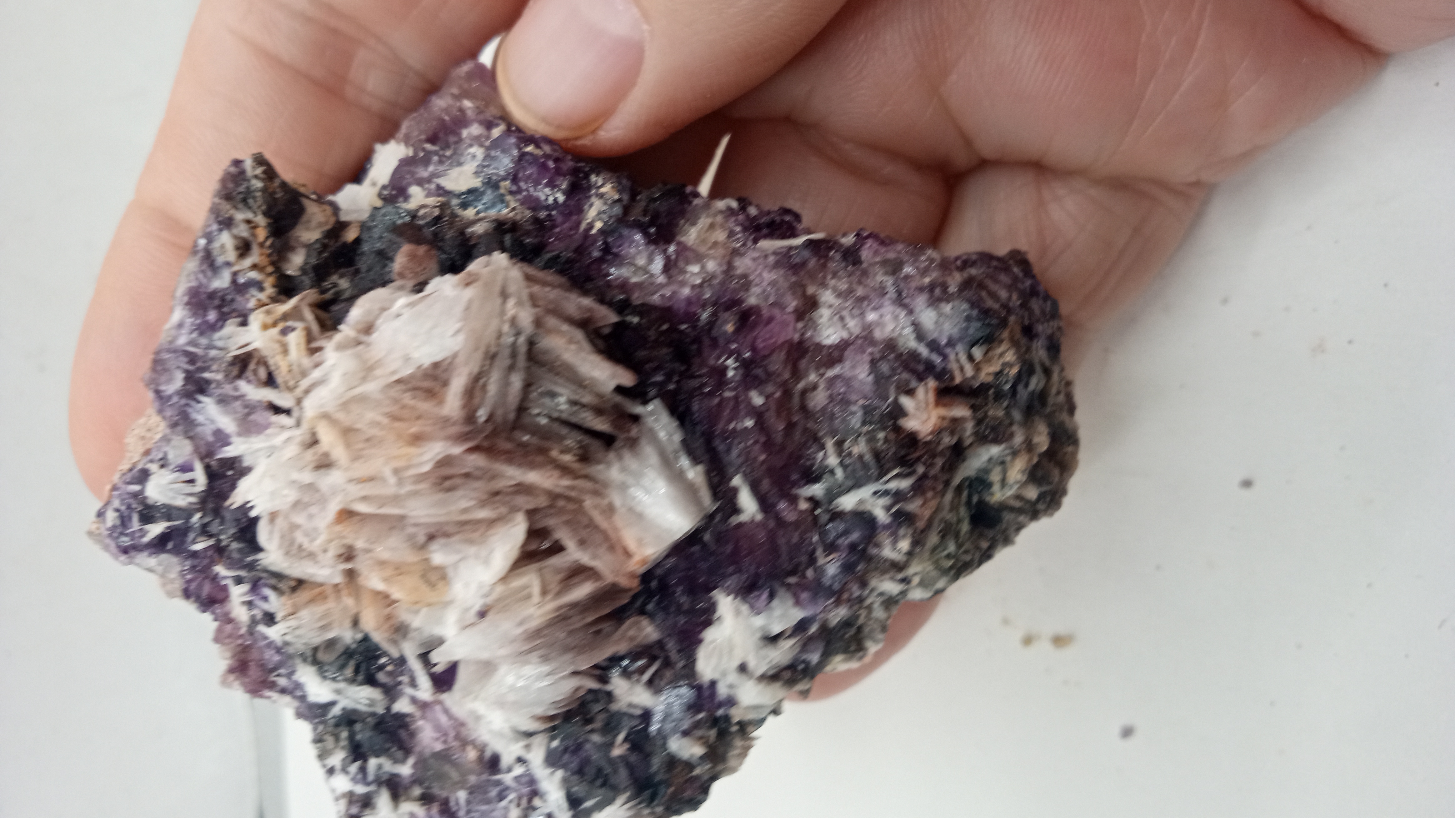 Stunning Raspberry Fluorite w/ Barite Blades - Bishops Cap New Mexico