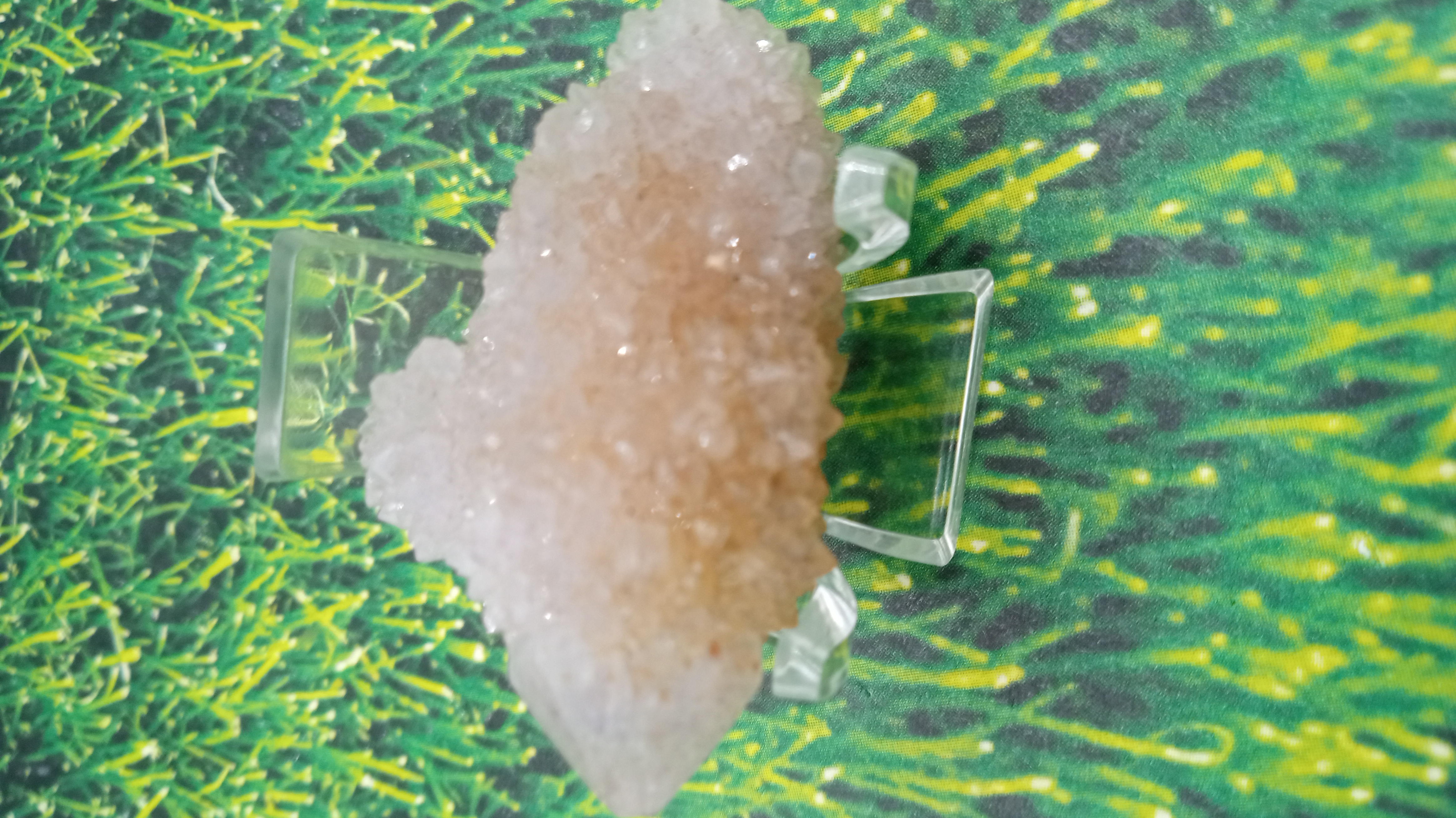 Cactus quartz ~ South Africa ~ Acrylic Display Included ~  South Africa ~