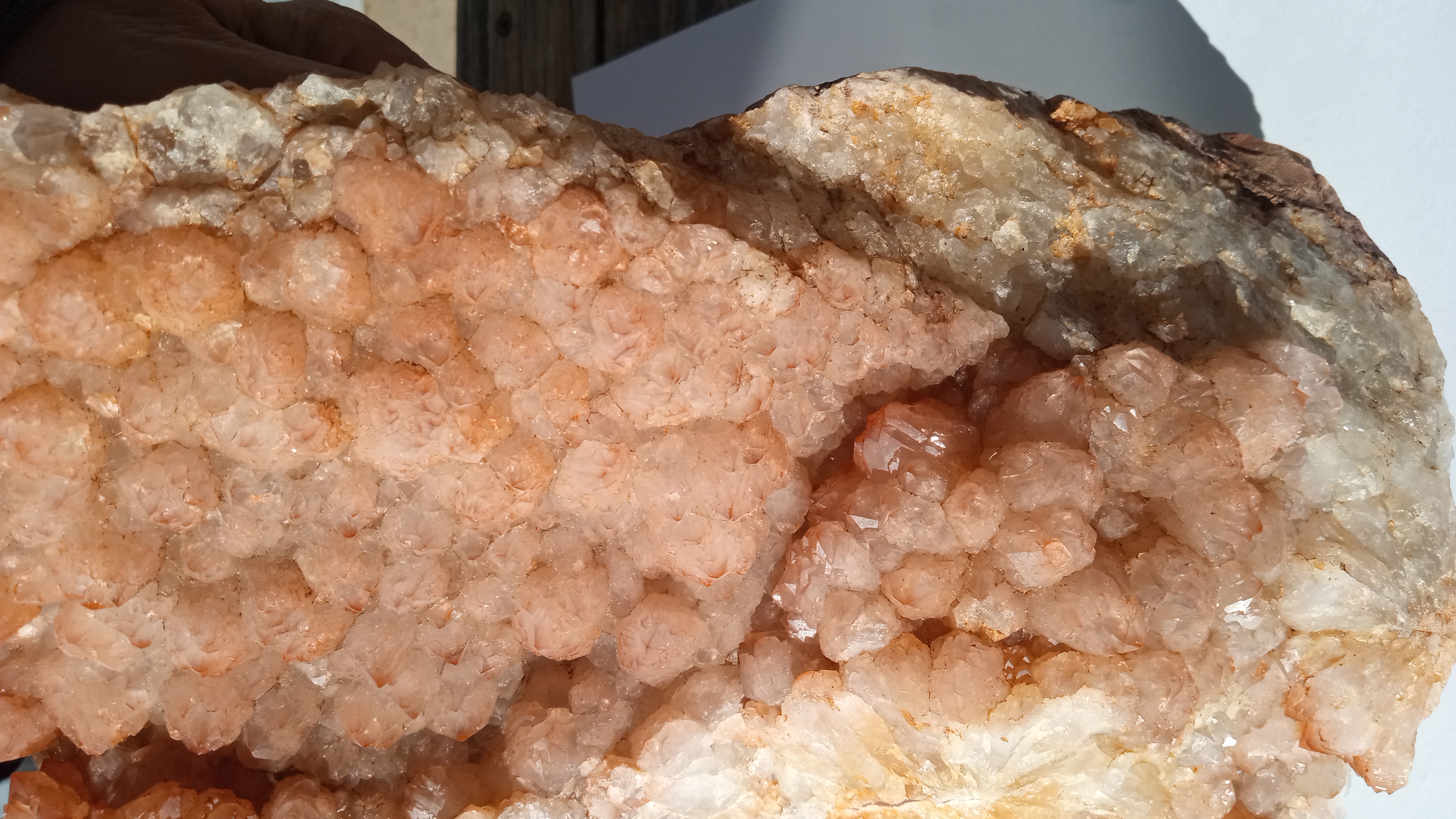 Artichoke Quartz --      Black Range area New Mexico - Very Remote area -  VERY LARGE 
