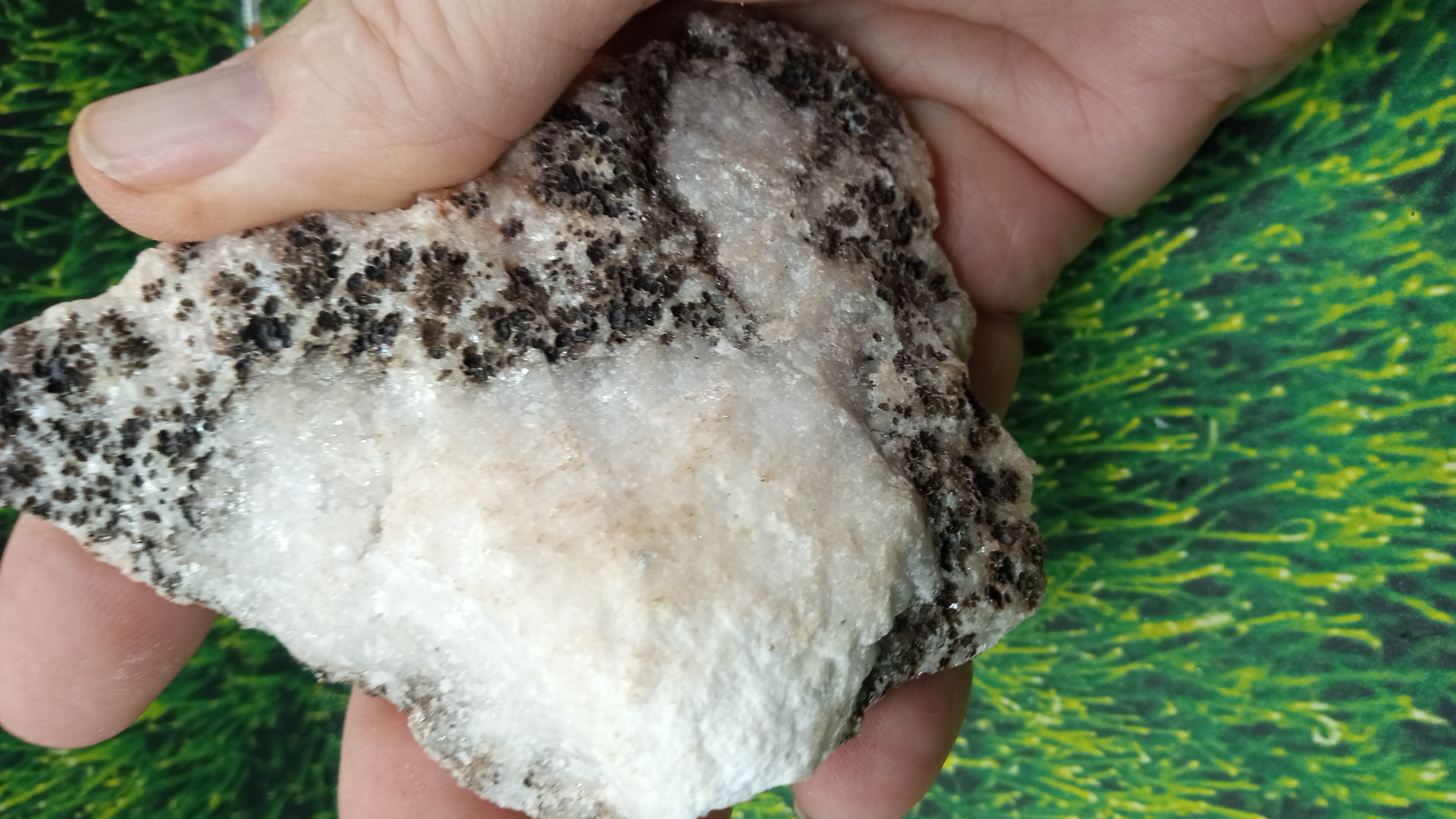 Calcite and Halite Mineral Specimen - New Mexico ~
