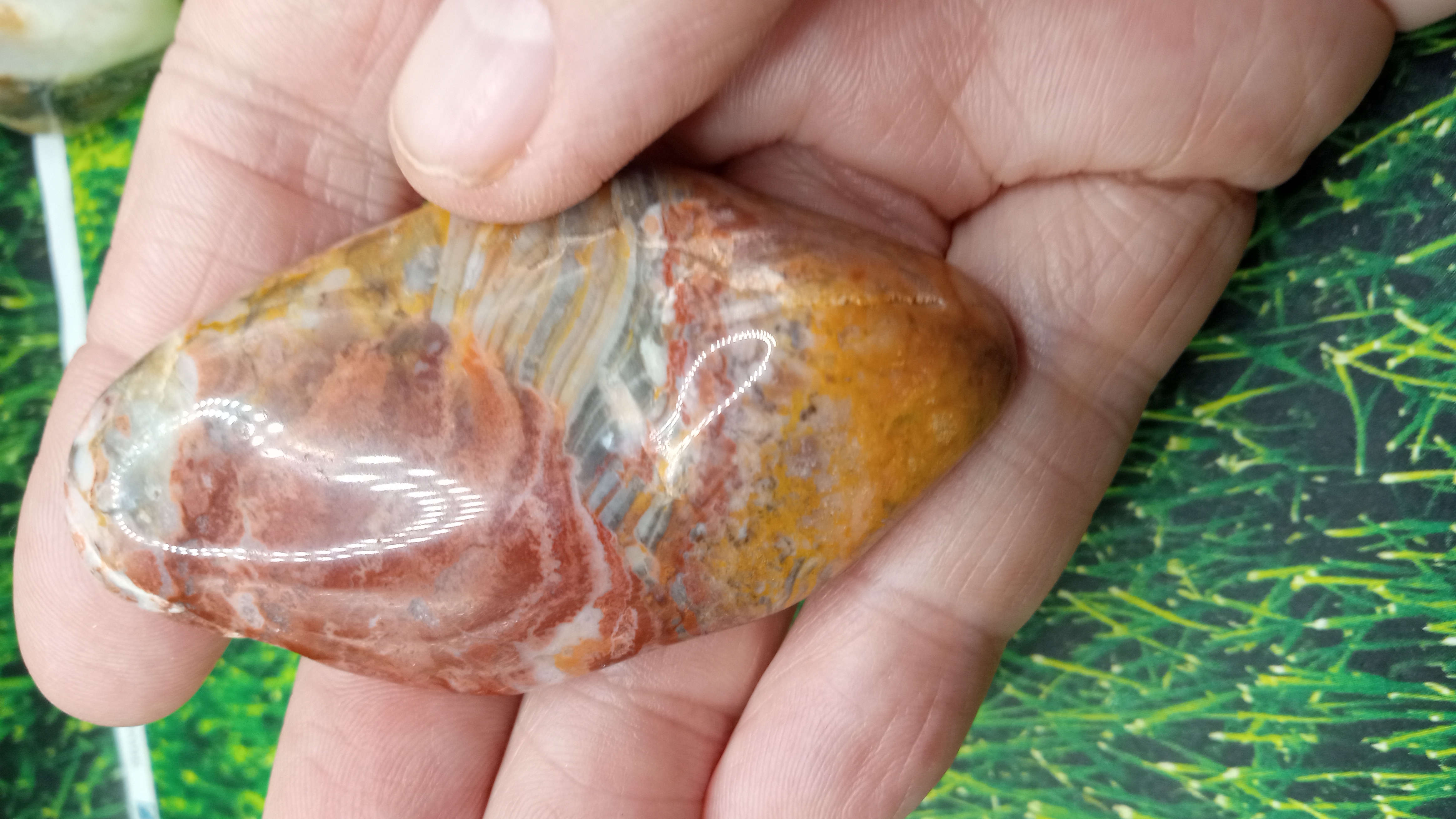 Jasper & Breccoated Jasper - ( 2 ) Pieces -