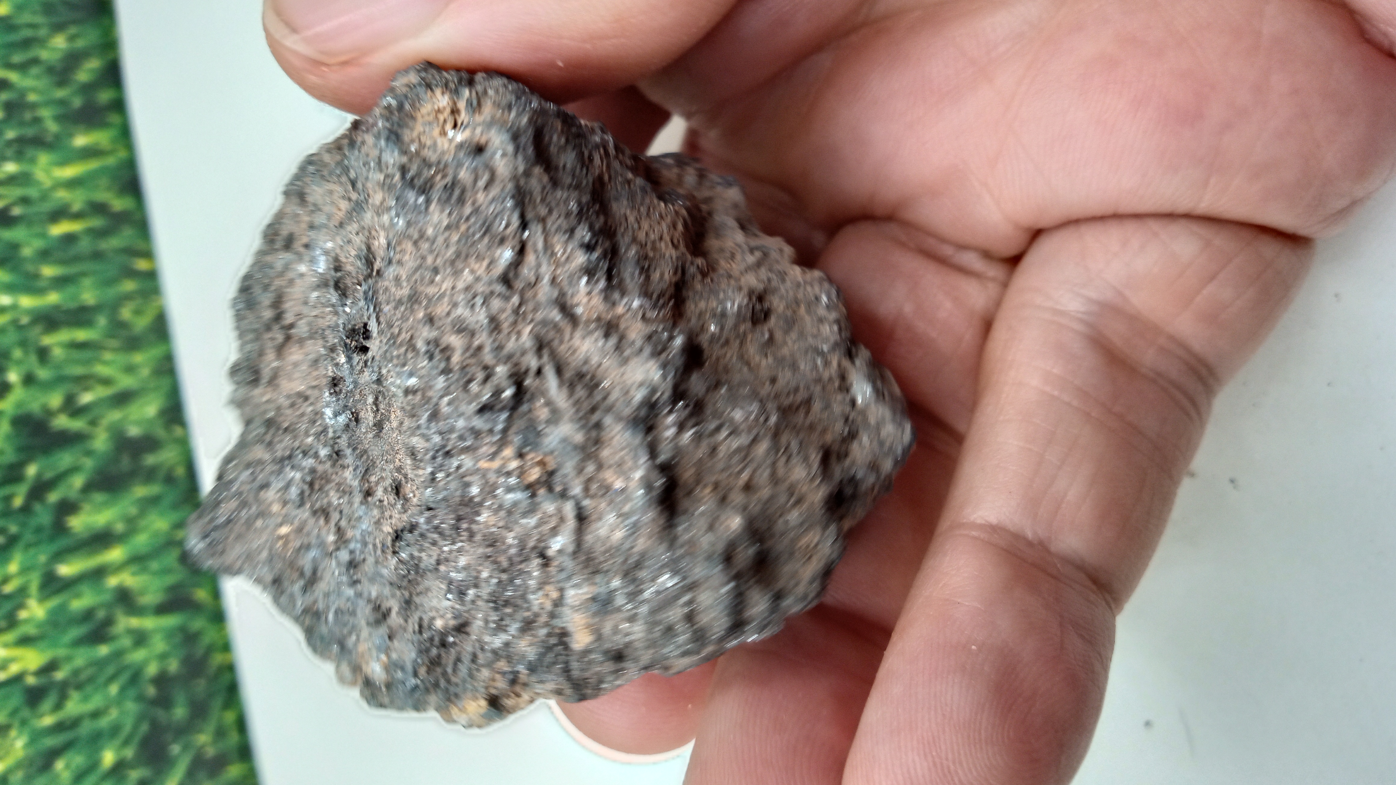 Bornite Mineral Specimen - Arizona find 