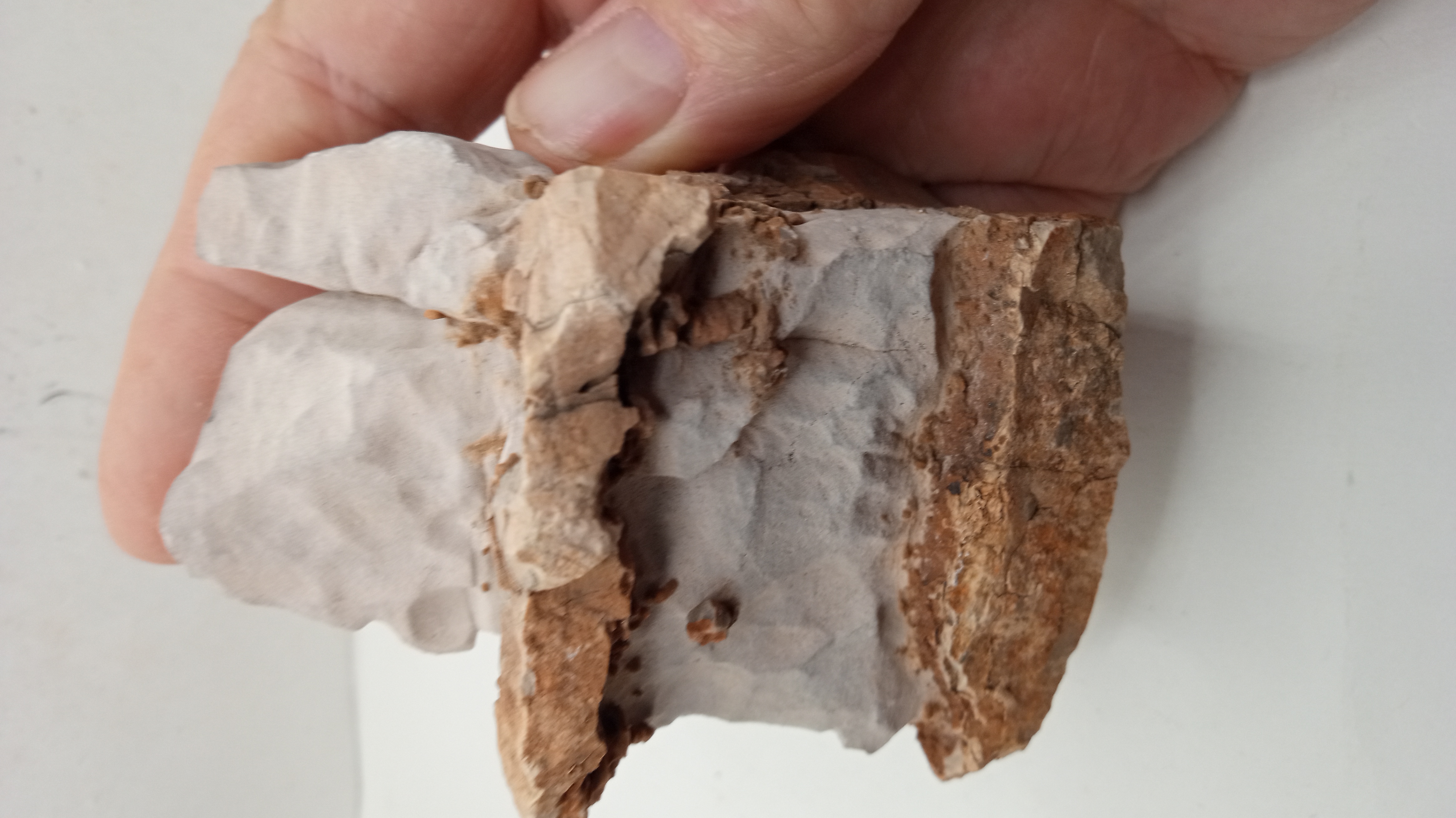 Chert/Siliceous layers in limestone w/ differential erosion