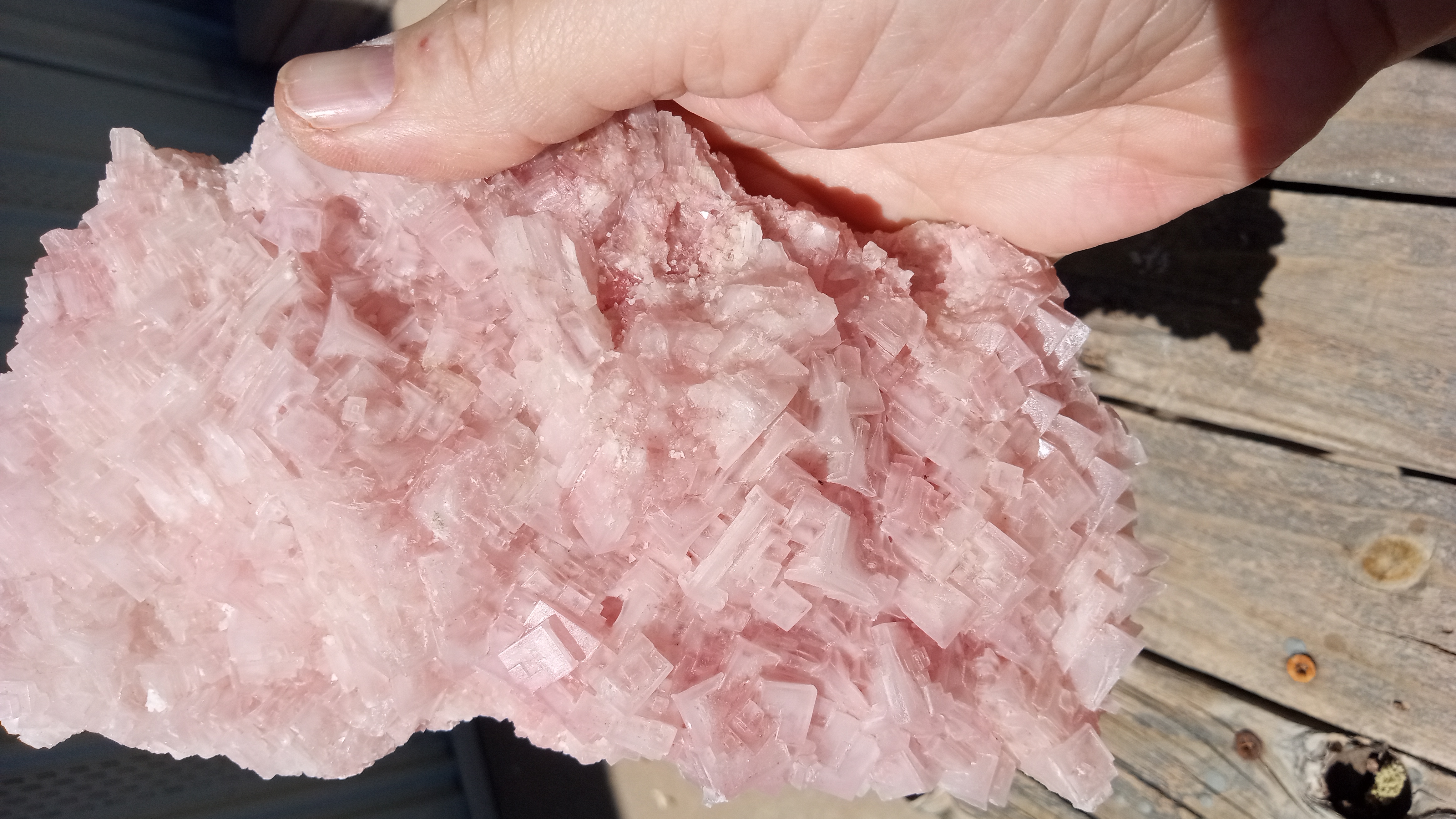 Stunning Large Pink Halite from Searles Lake, CA