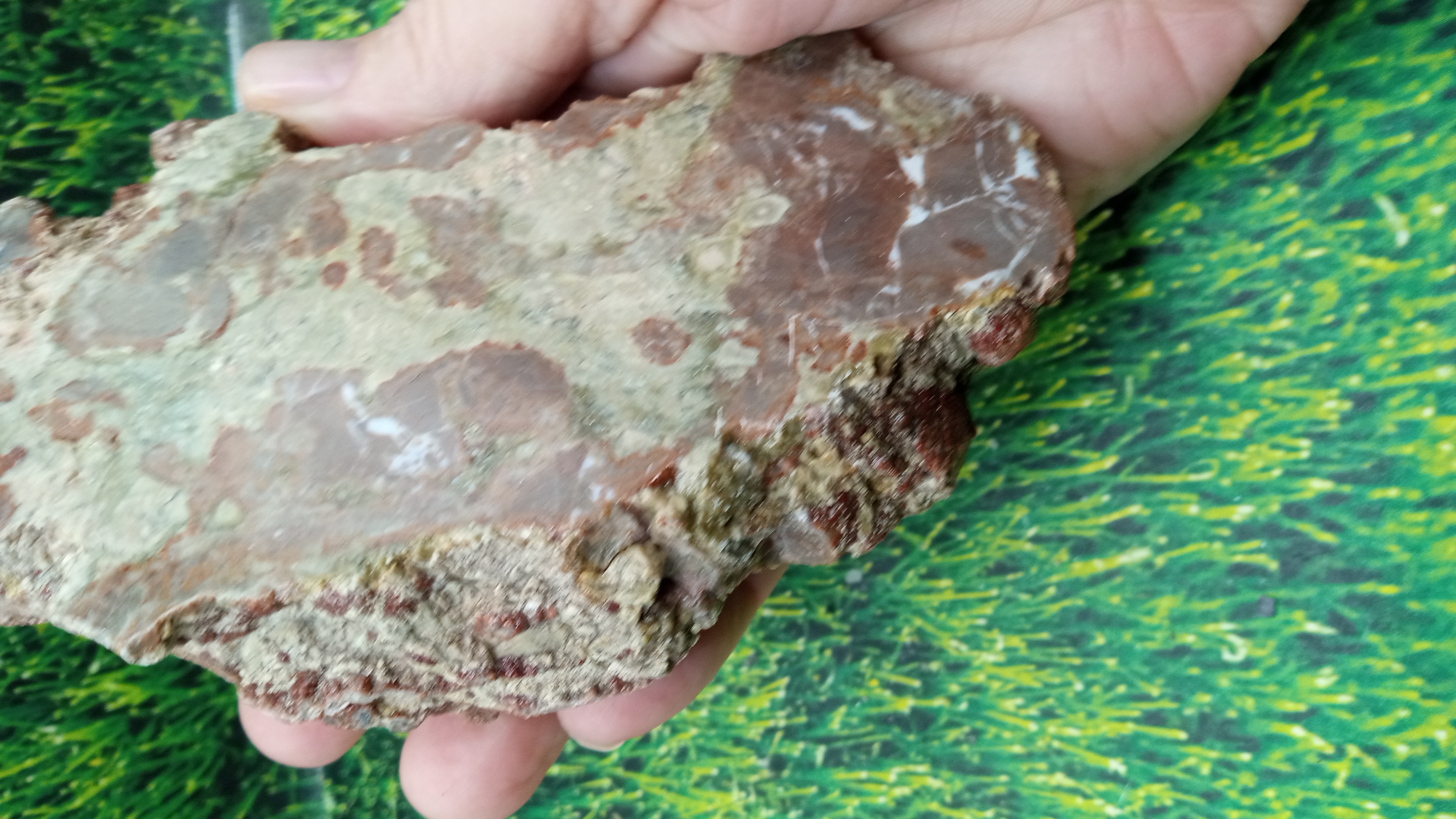 Thunder Egg Specimen in Natural Form ~ Socorro County NM 