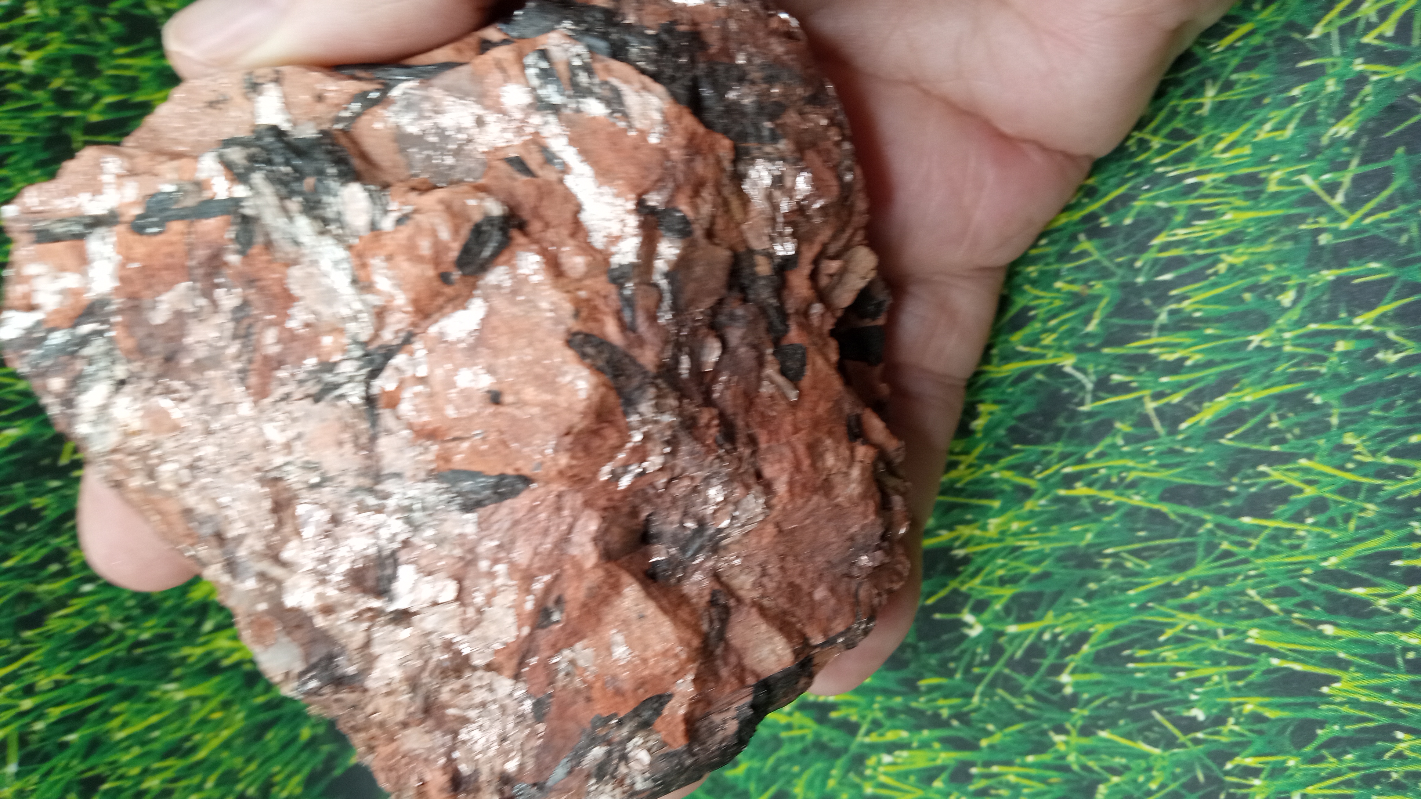 Tourmaline Mica Quartz  NEW MEXICO -