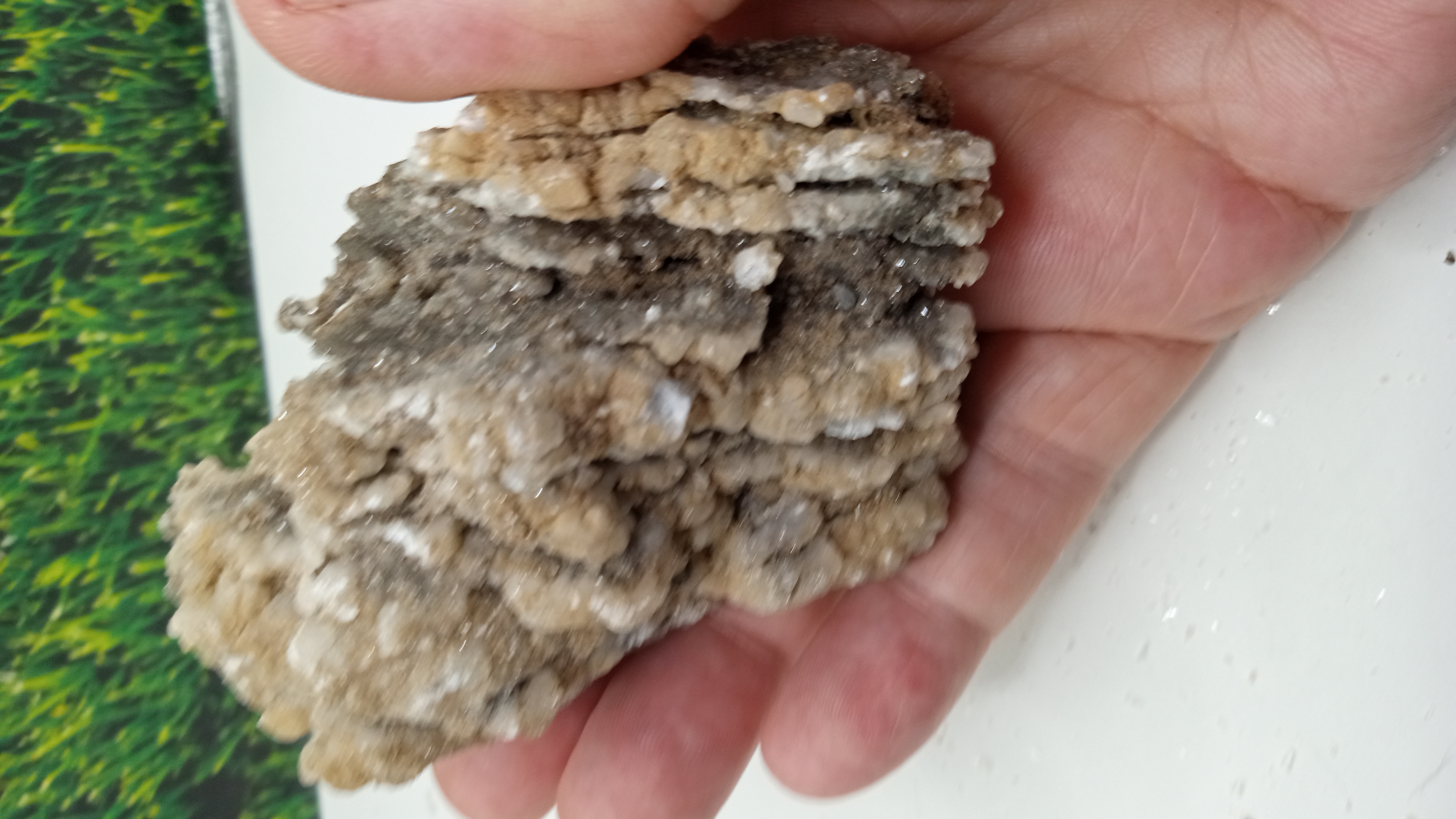 Gray Calcite Sparkly Crystals w/ blades - New Mexico - 