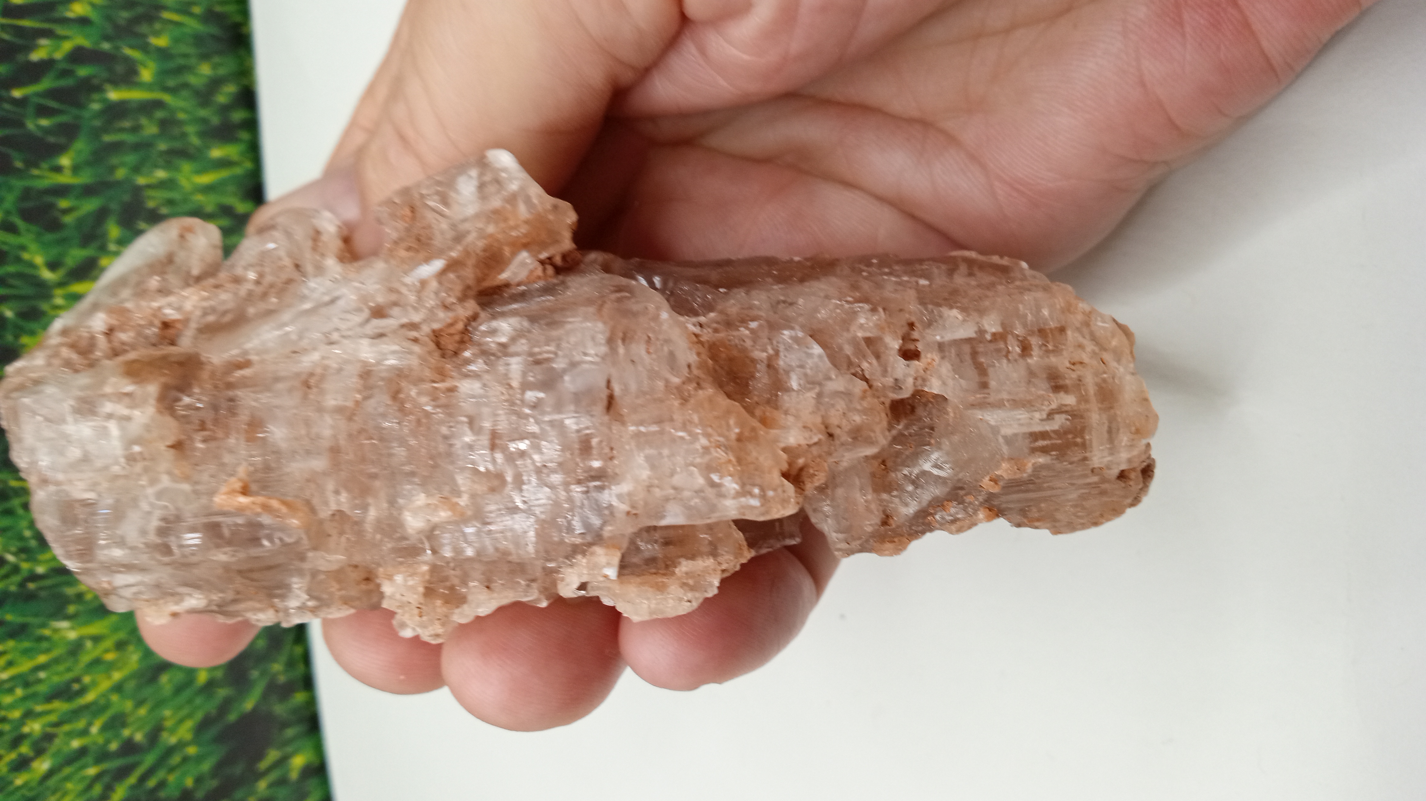 Selenite Mineral Specimen - UFO Roswell, New Mexico Area ~