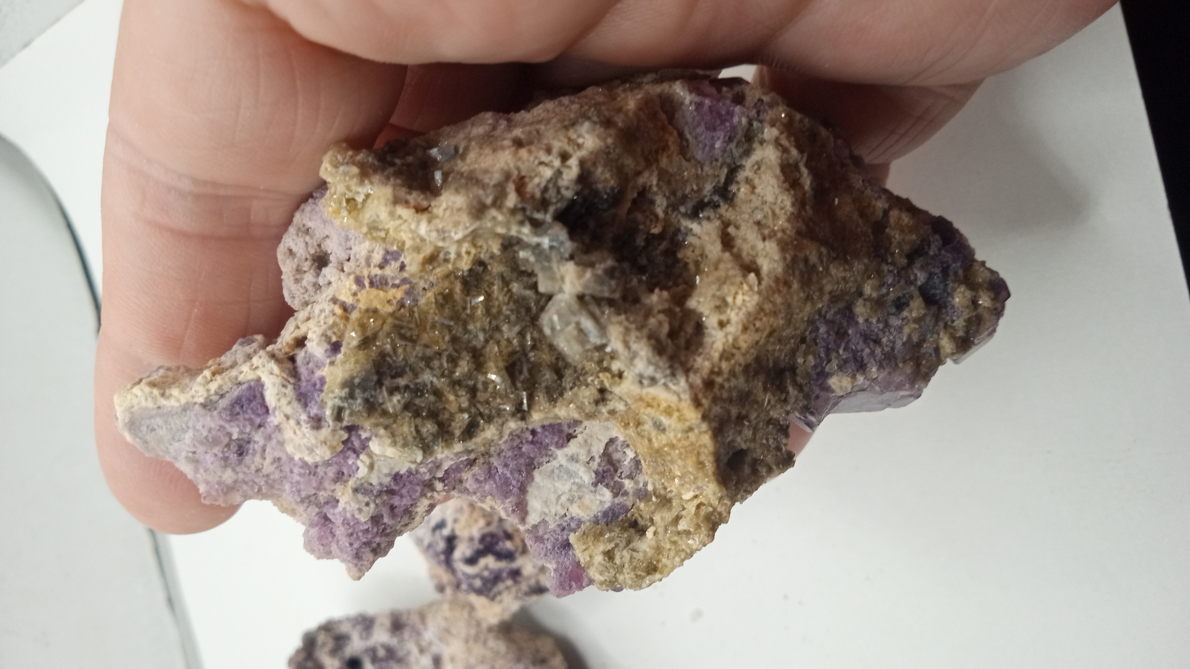 Unique Dark Purple Fluorite - ( 3 ) Included - Blanchard Mine New Mexico