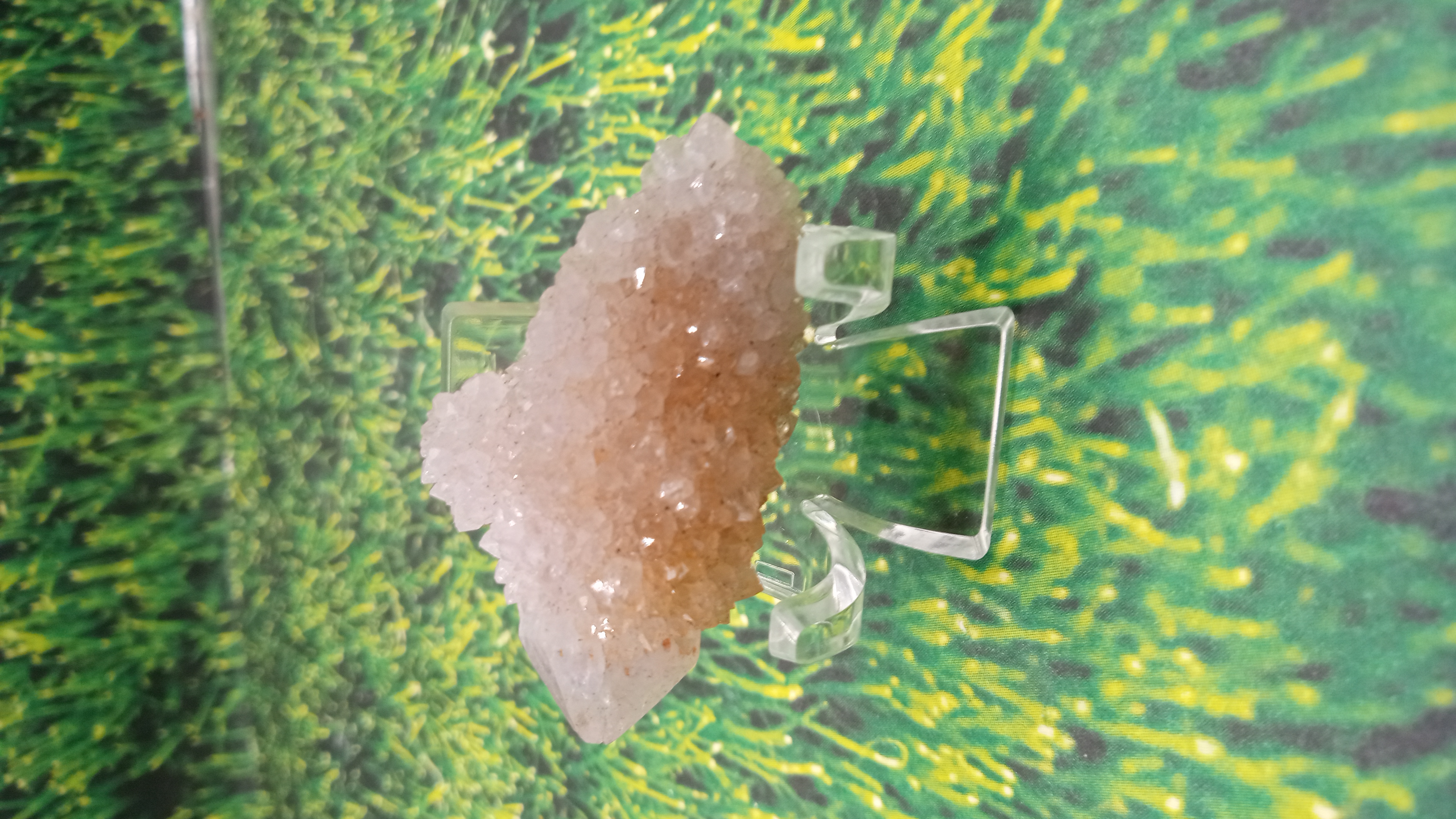 Cactus quartz ~ South Africa ~ Acrylic Display Included ~  South Africa ~