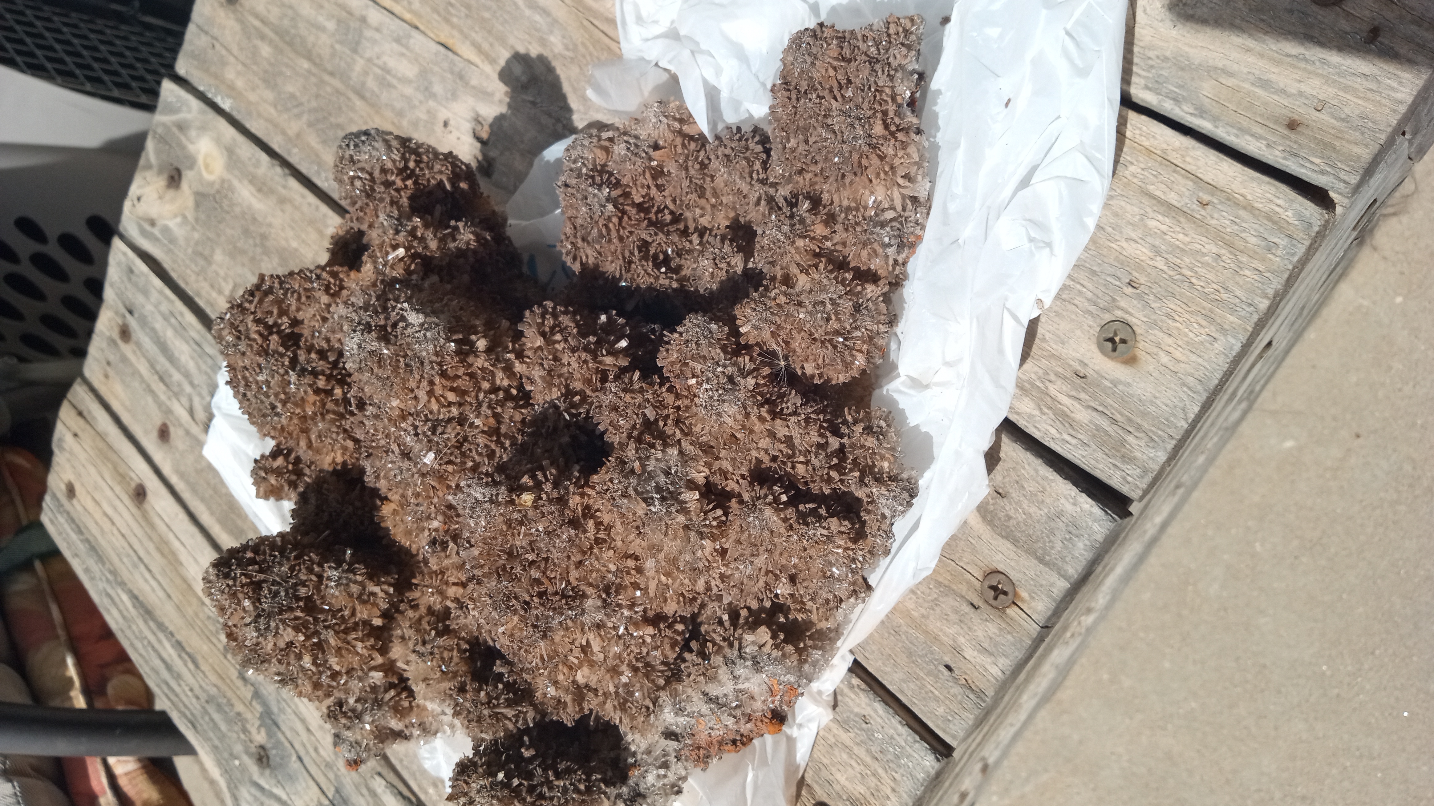 Creedite Stunning Giant Orange & Rust Colors  ~ Rare ~ Mexico ~