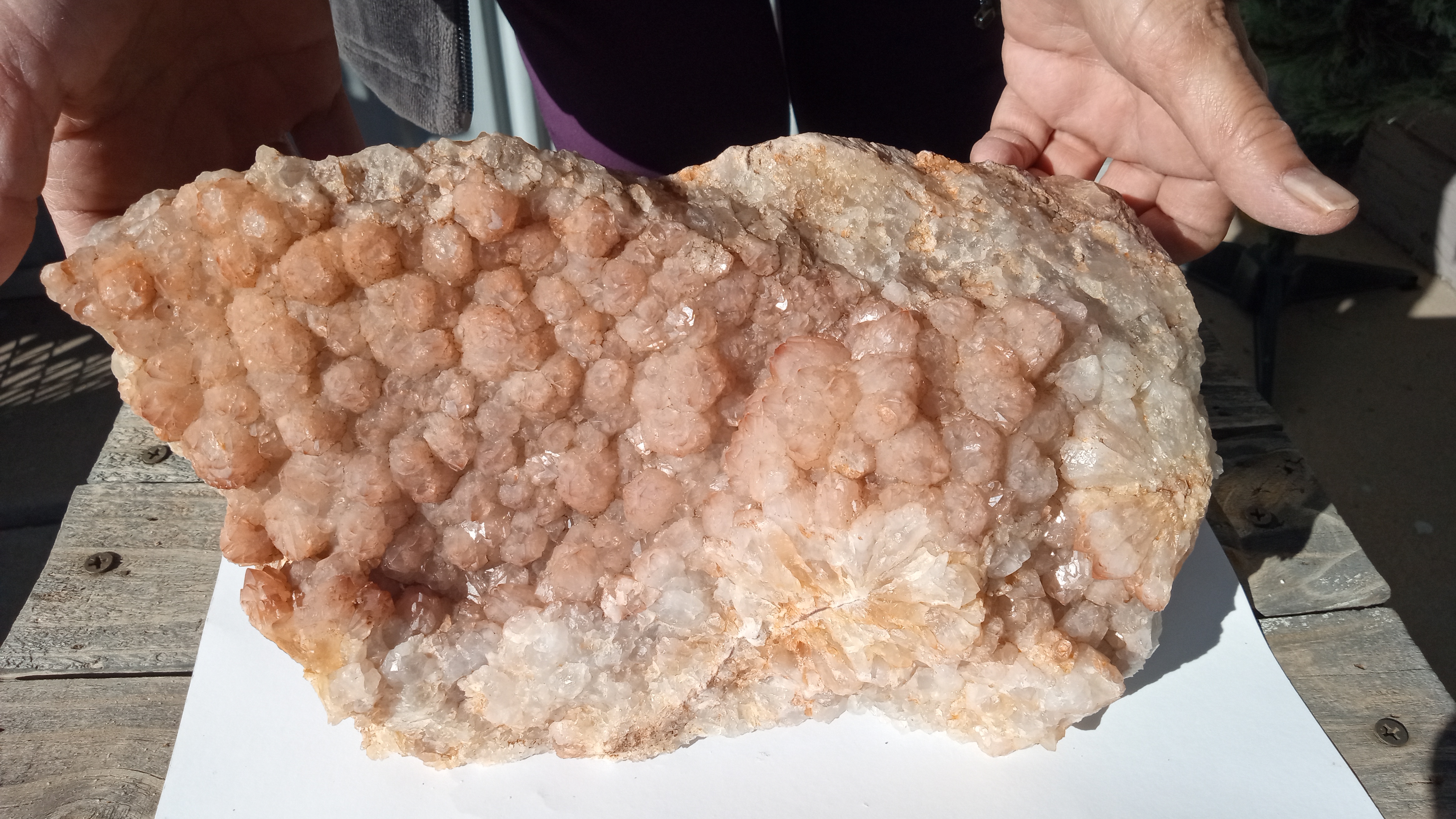 Artichoke Quartz -- Black Range area New Mexico - Very Remote area - VERY LARGE