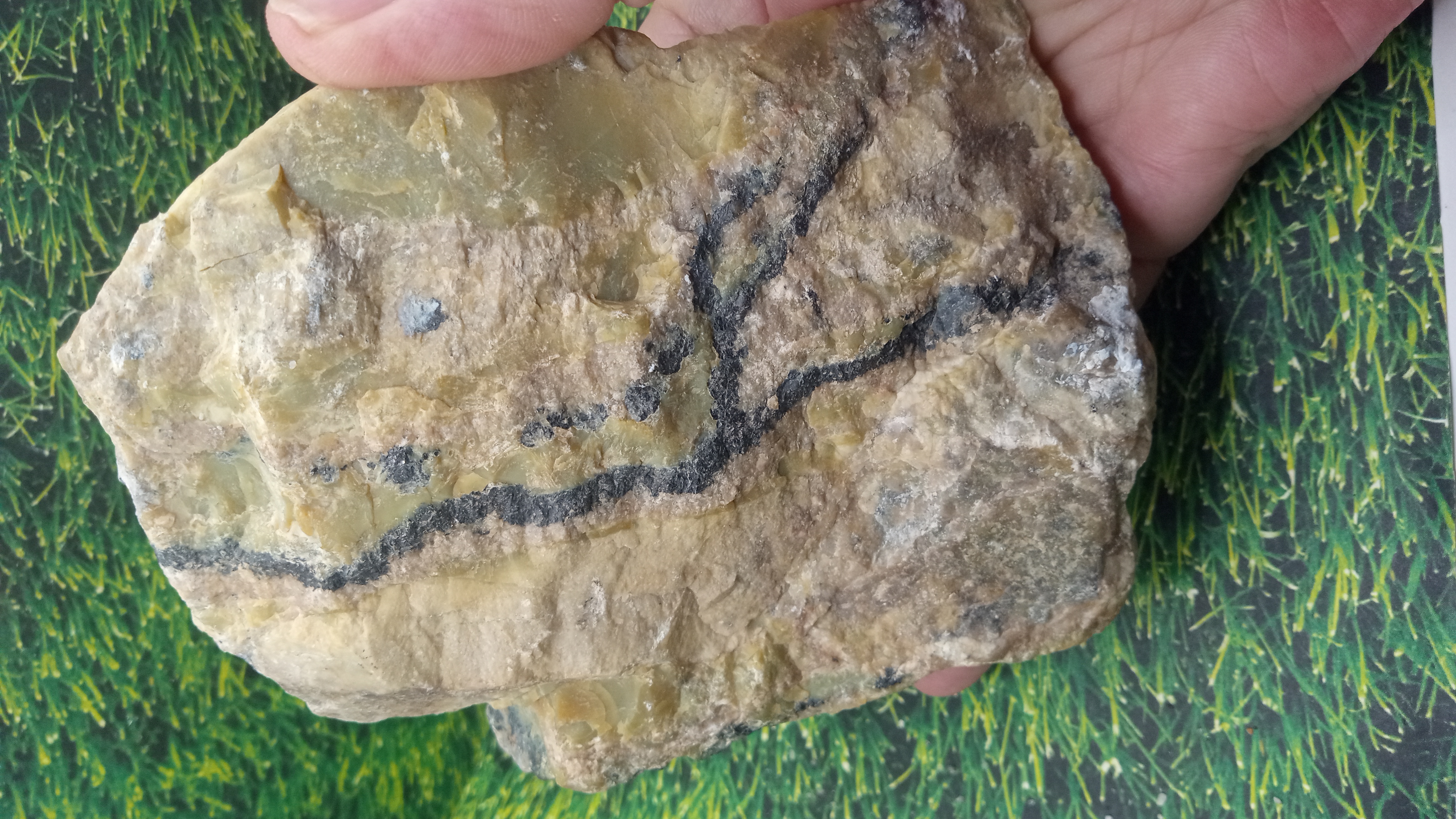 Serpentine with Magnetite ~ Lordsburg NM   1 LB 10 oz Large ~