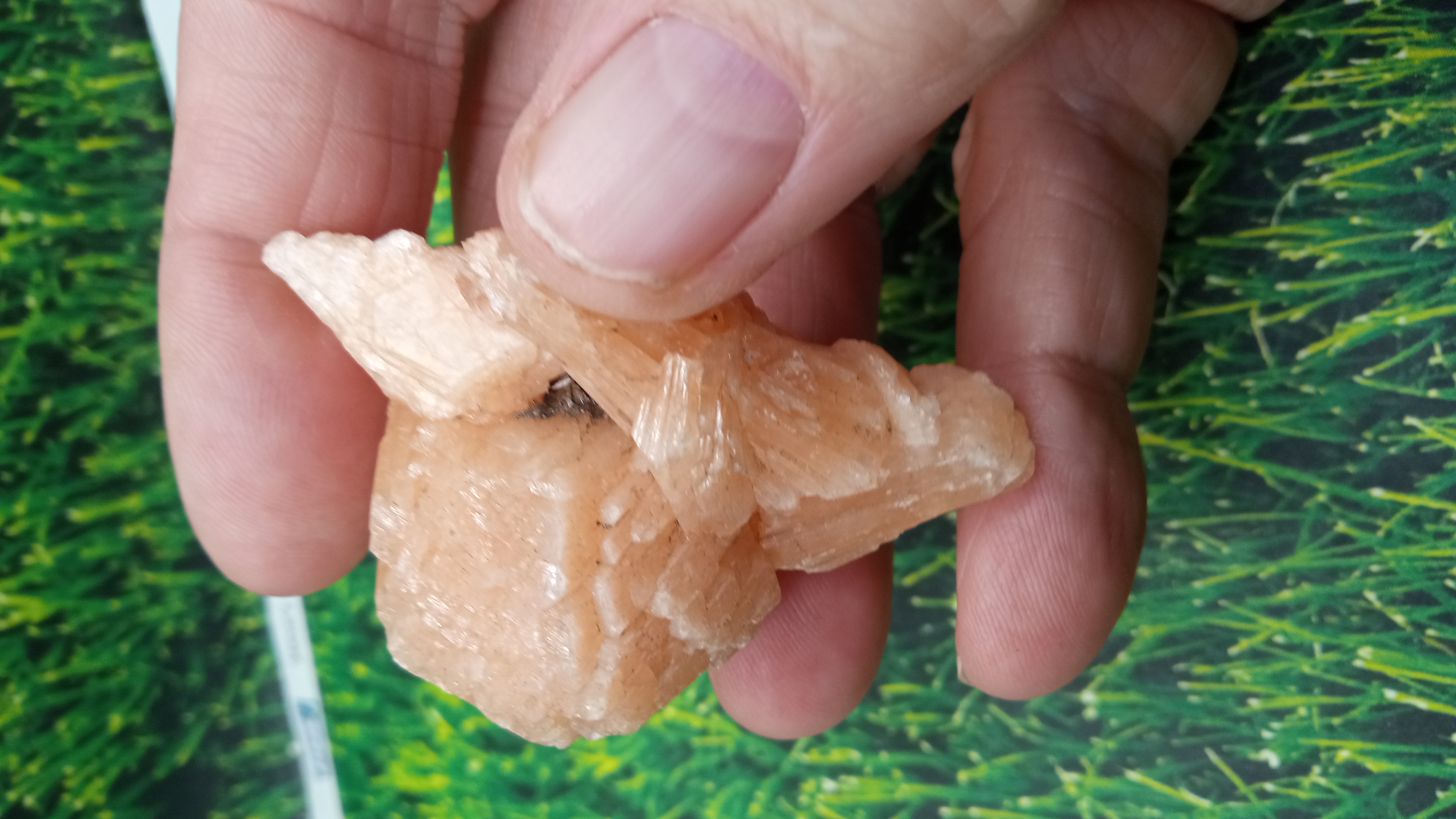 Beautiful Orange Stilbite Arizona Find