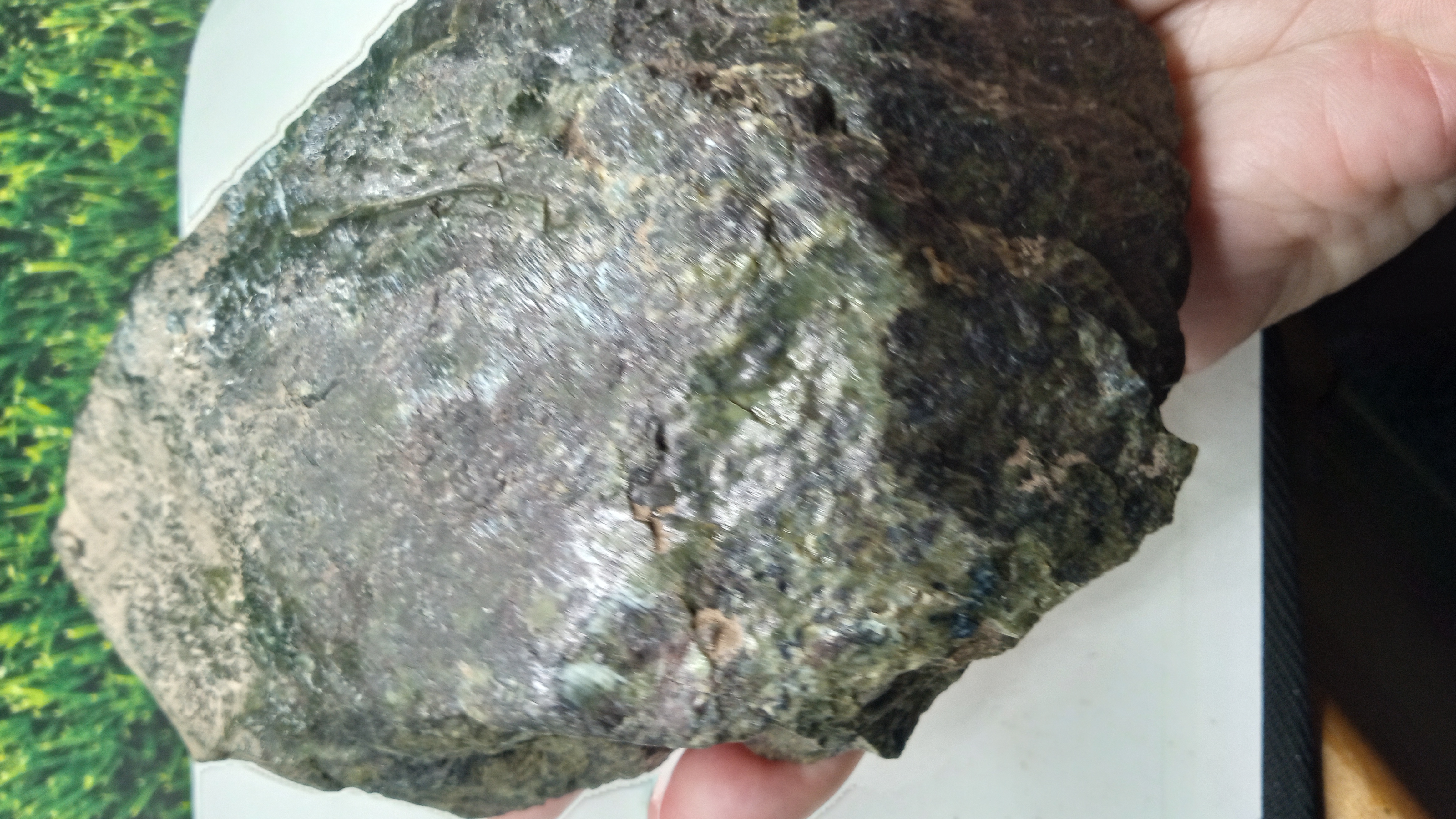 Serpentinite Mineral Specimen - Klamath Mountains, California