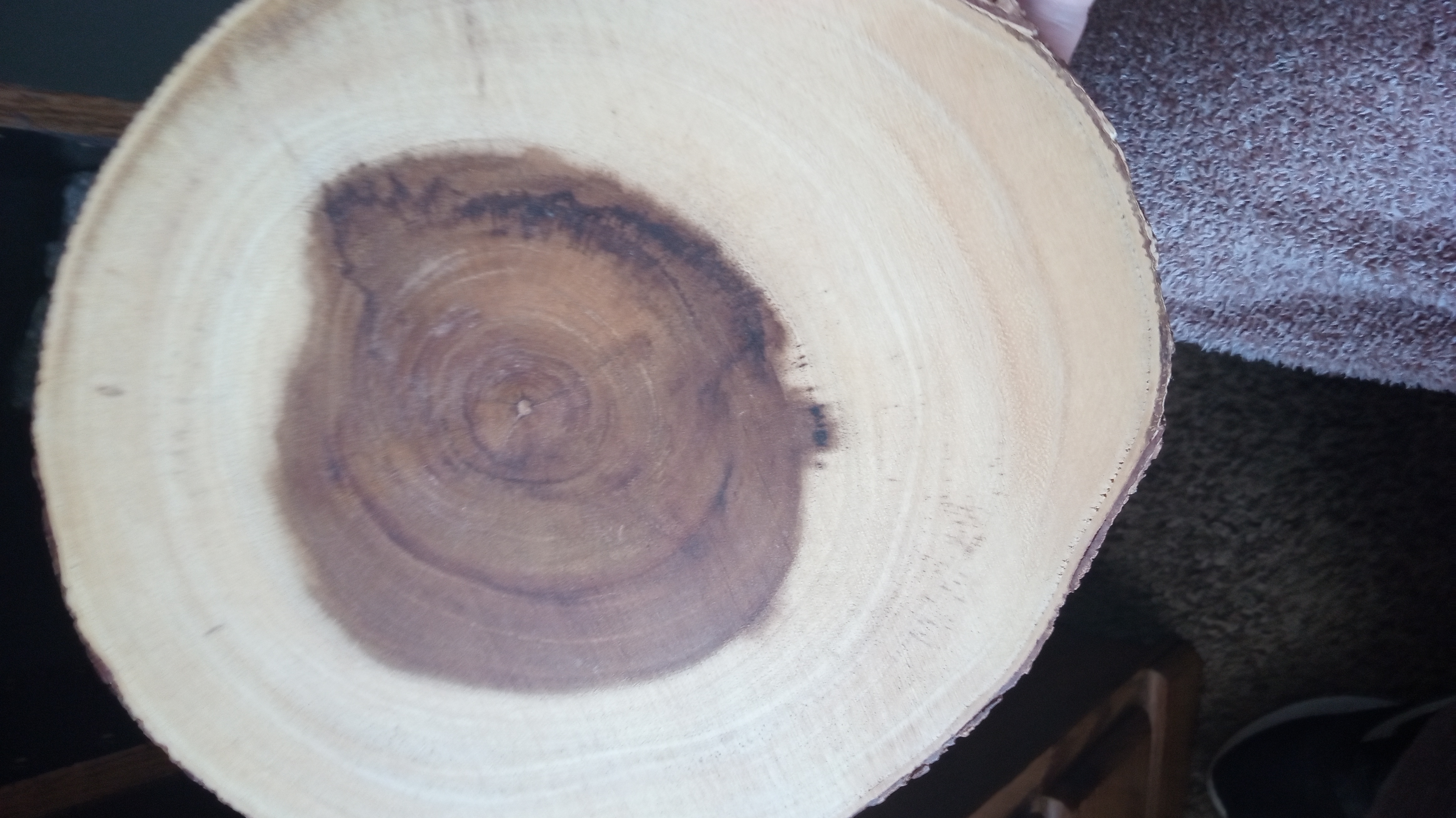 Acacia Bark Slab Lazy Susan  Used in Nice Condition -