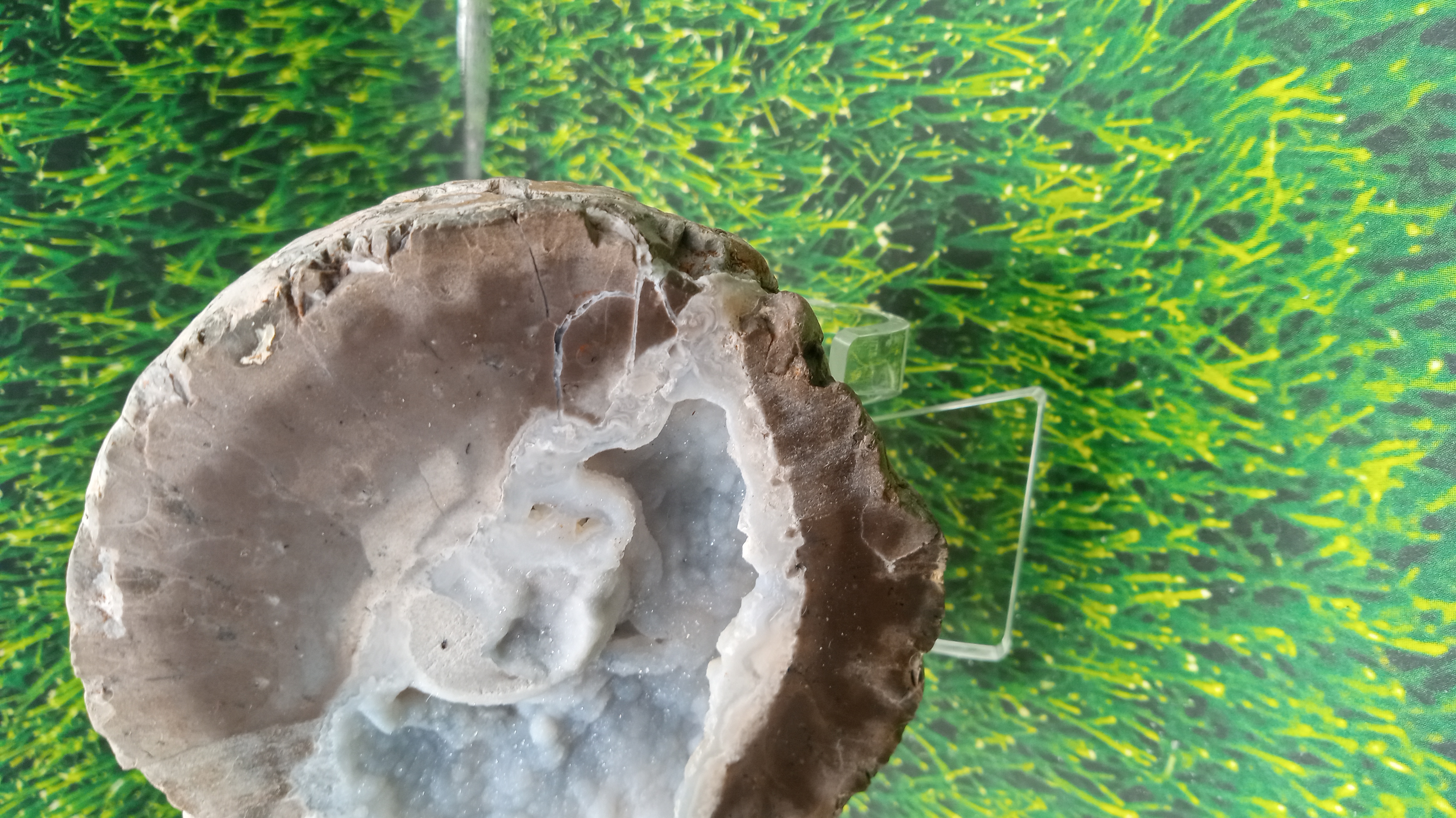 Beautiful Thunder Egg - Rockhound Park Area -  New Mexico ~ Stand Included ~