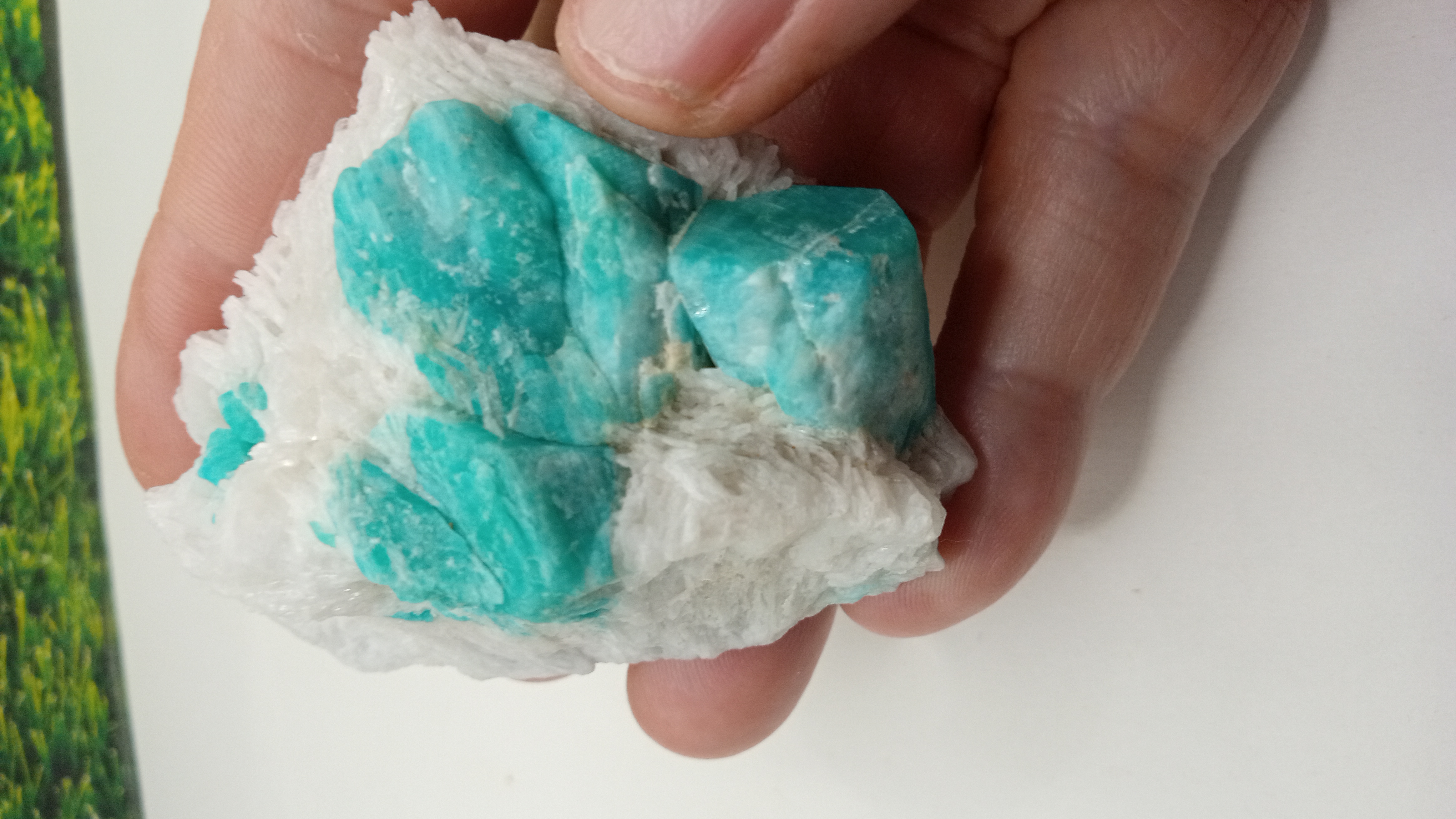 Amazonite Mineral Specimen -  Colorado's Pikes Peak region