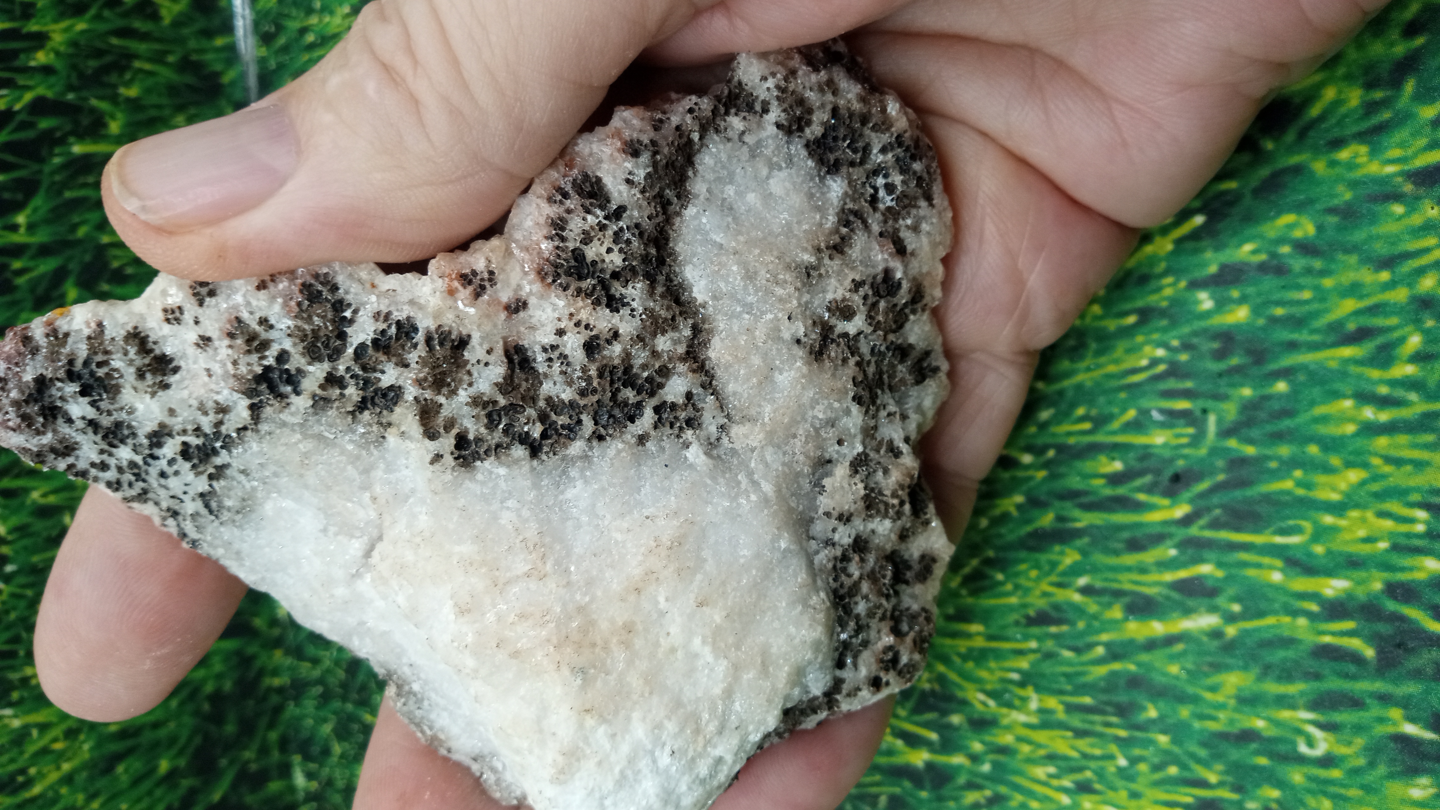 Calcite and Halite Mineral Specimen - New Mexico ~