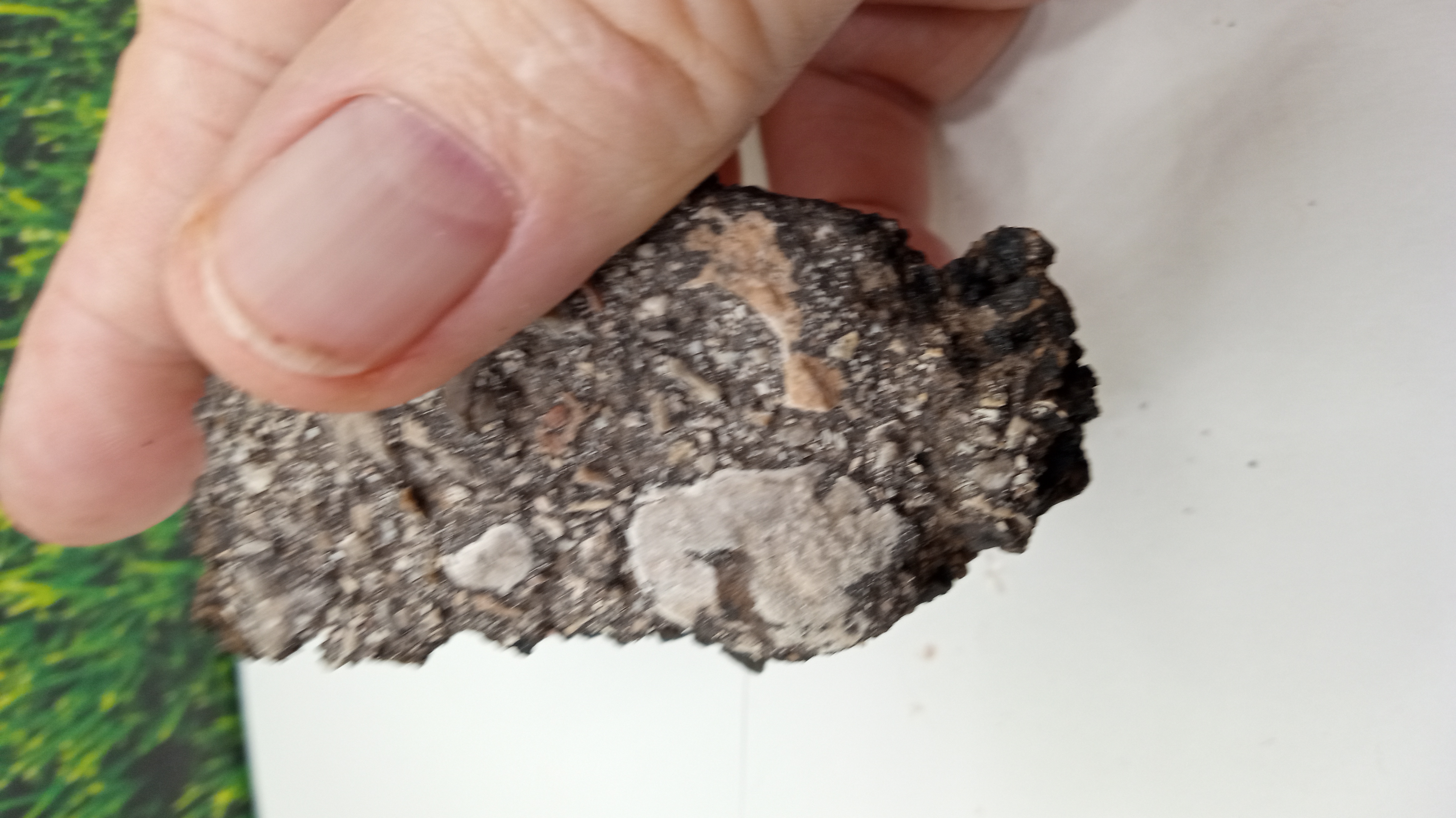 Black Basalt Mineral Specimen ~~