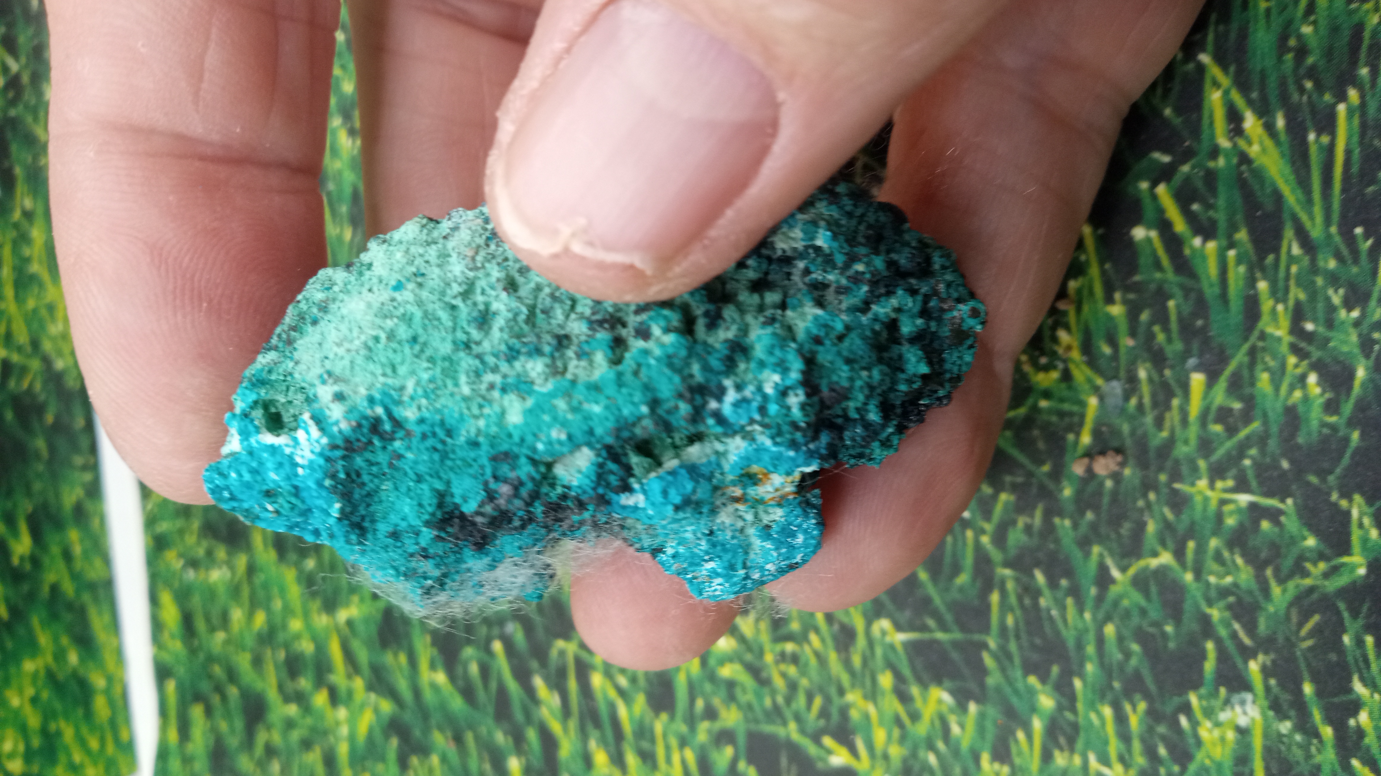 Chrysocolla Mineral Specimen - Orogrande, NM