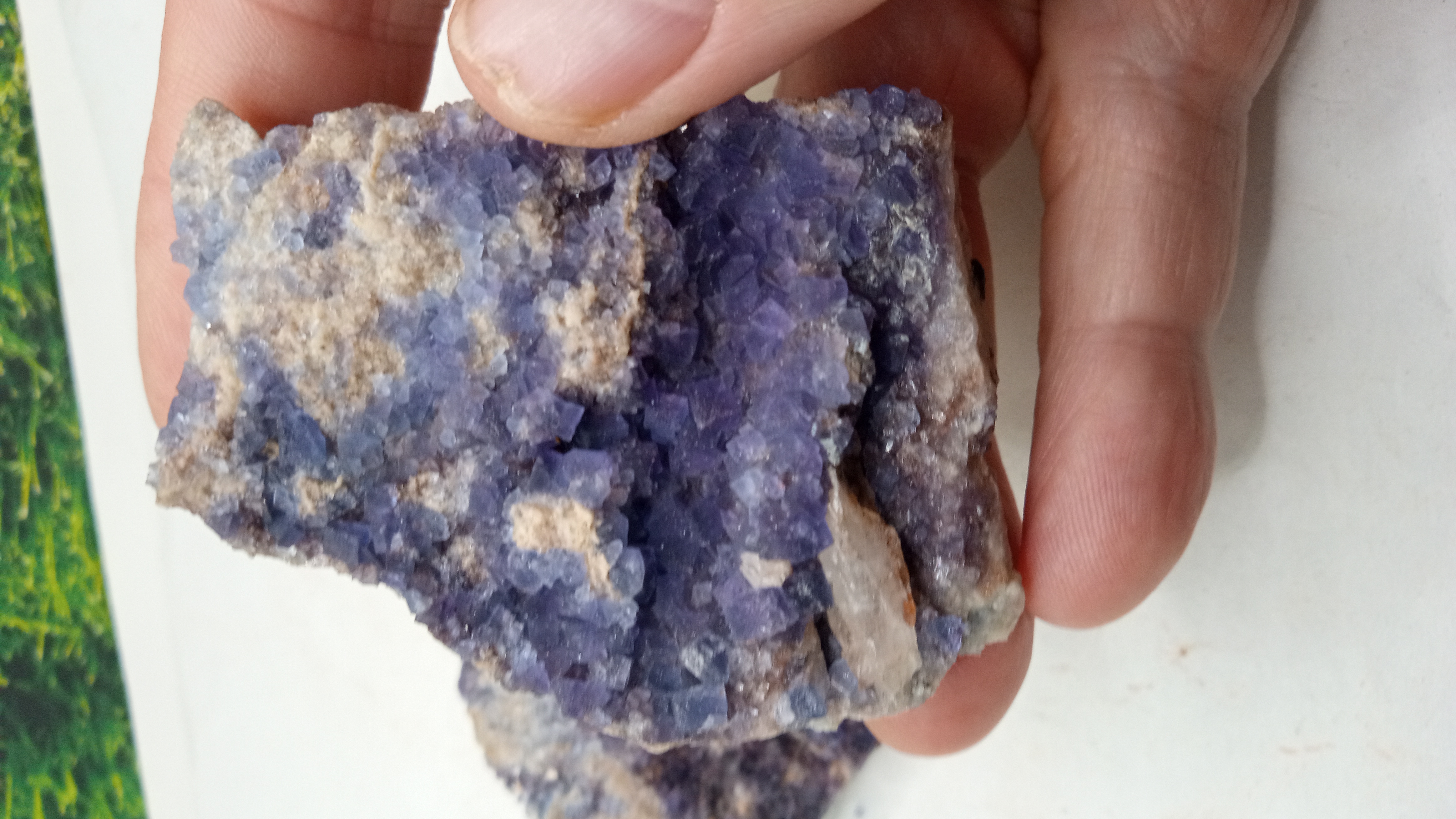 Dark Purple Fluorite ~ Burro mts nm  ( 2 ) included ~