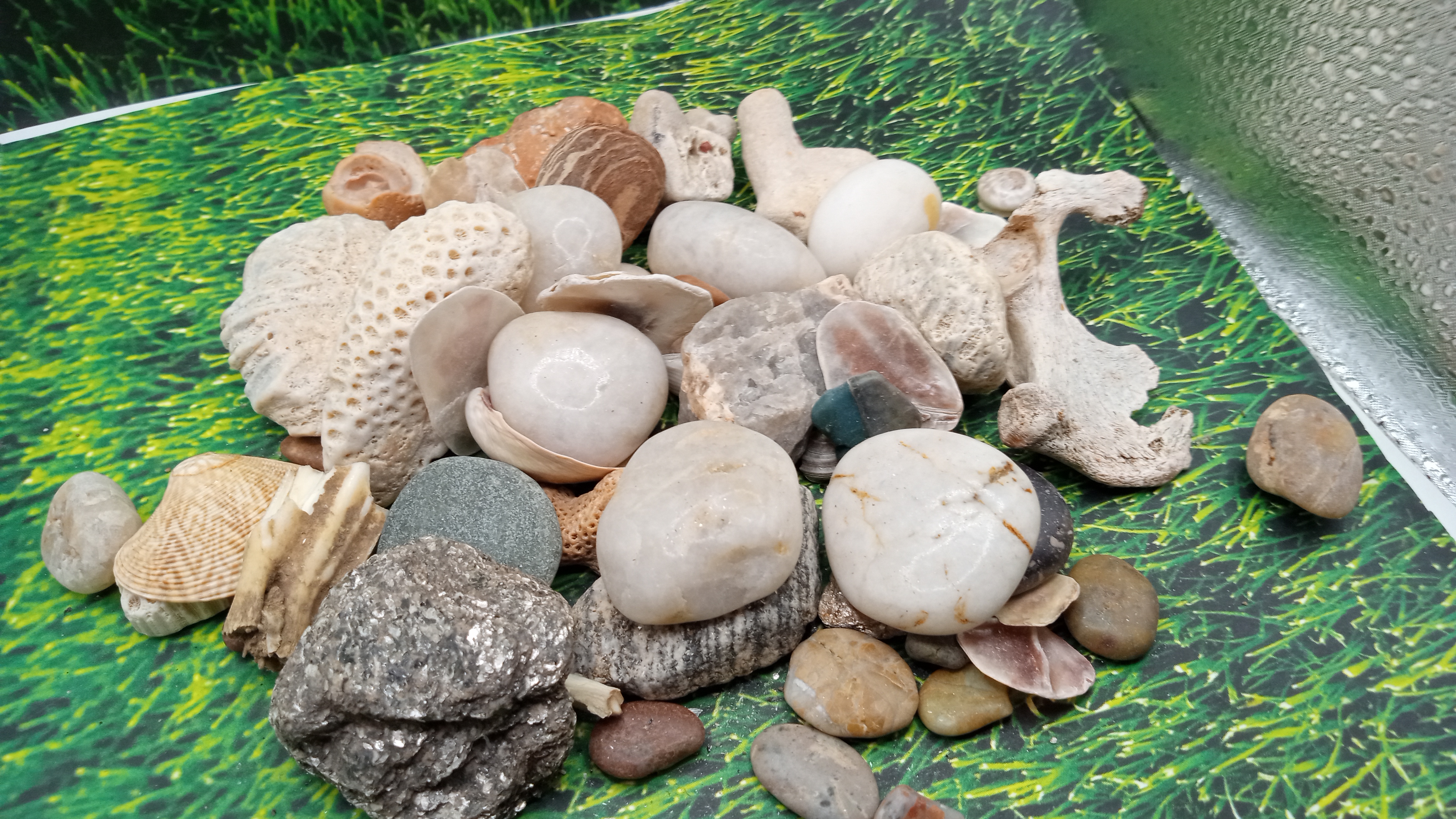 Bag of Misc Rocks - from New Mexico & Florida Keys