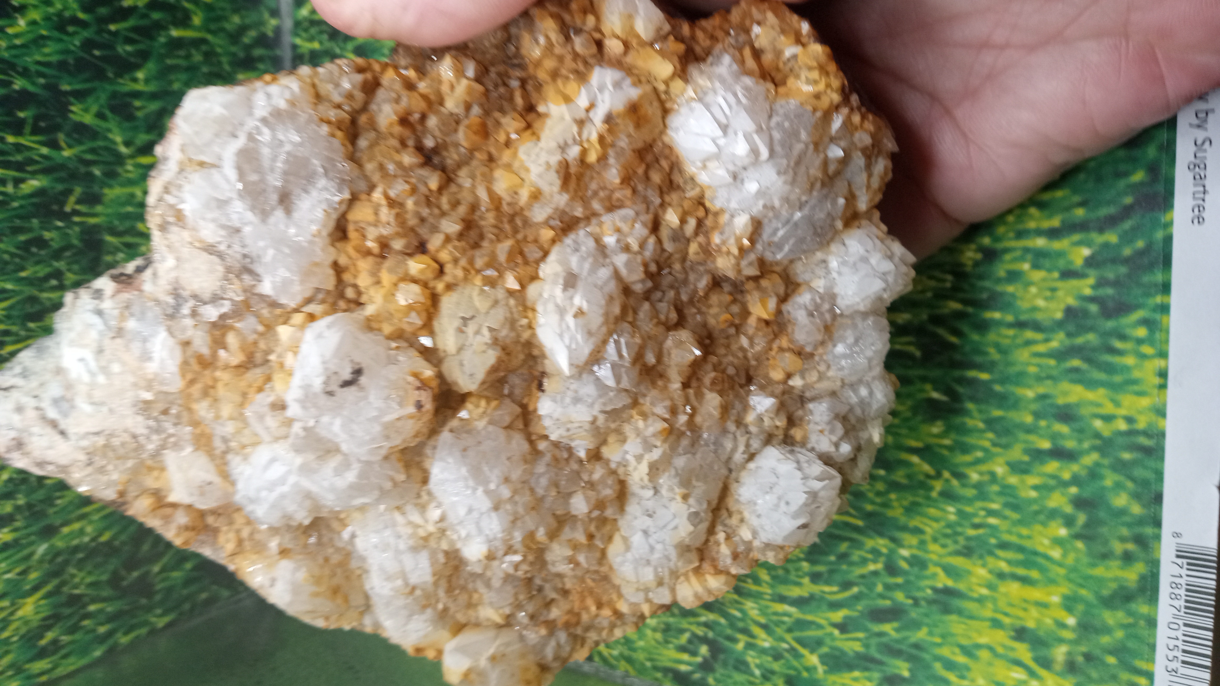 Hematoid Quartz w/ Serpentinite - Stunning find - New Mexico ~ Large 